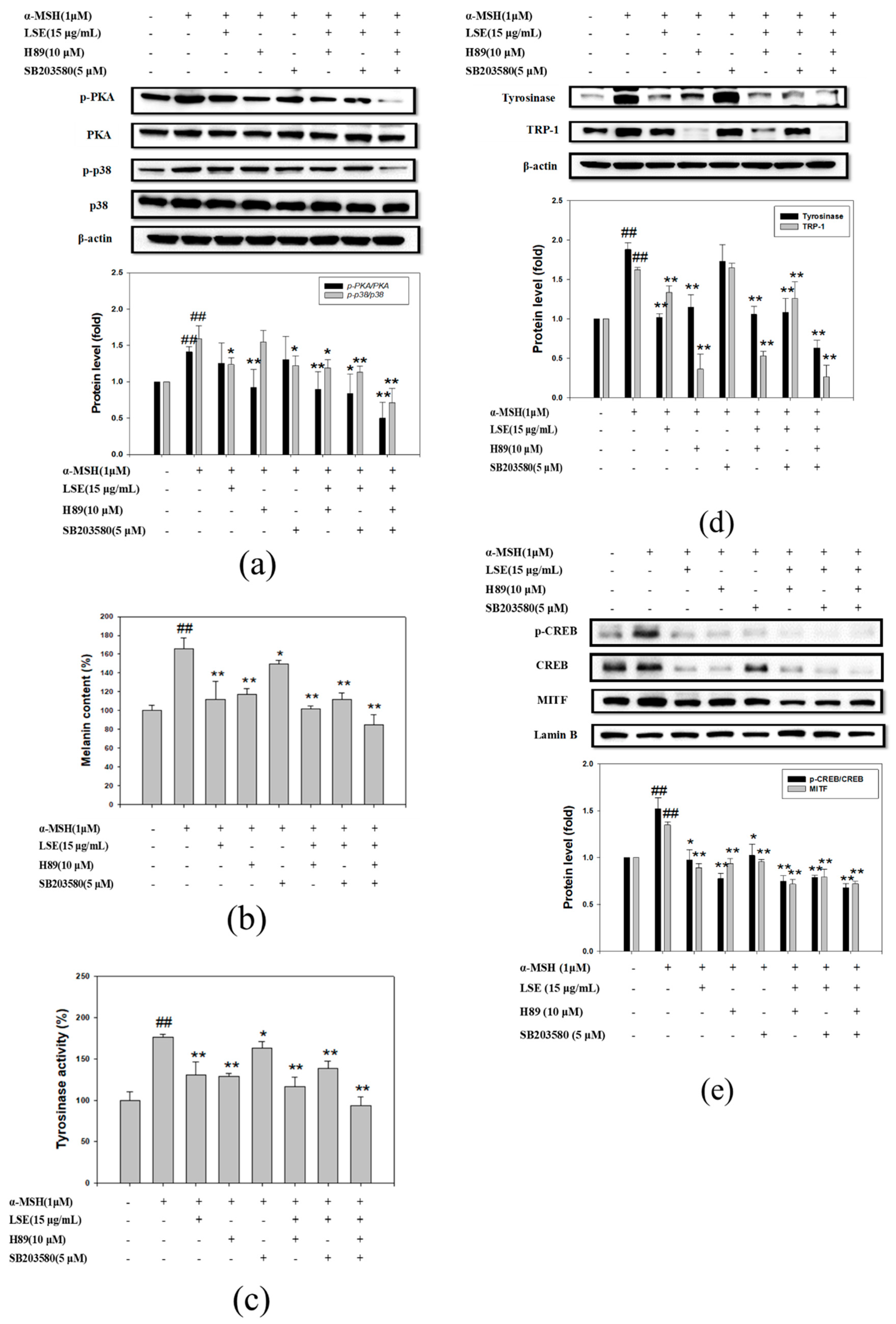 Nutrients 12 03535 g005 Nutrients 12 03535 g005