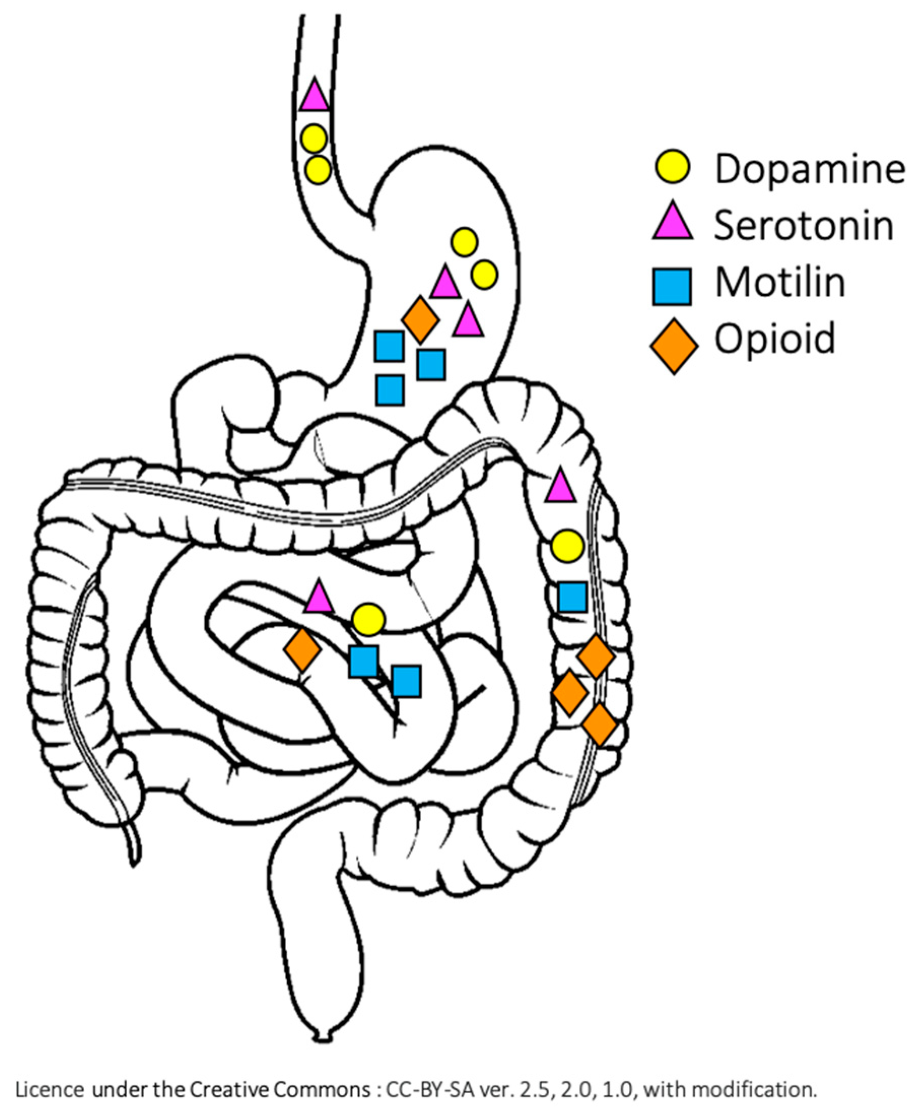 Nutrients 12 03536 g001