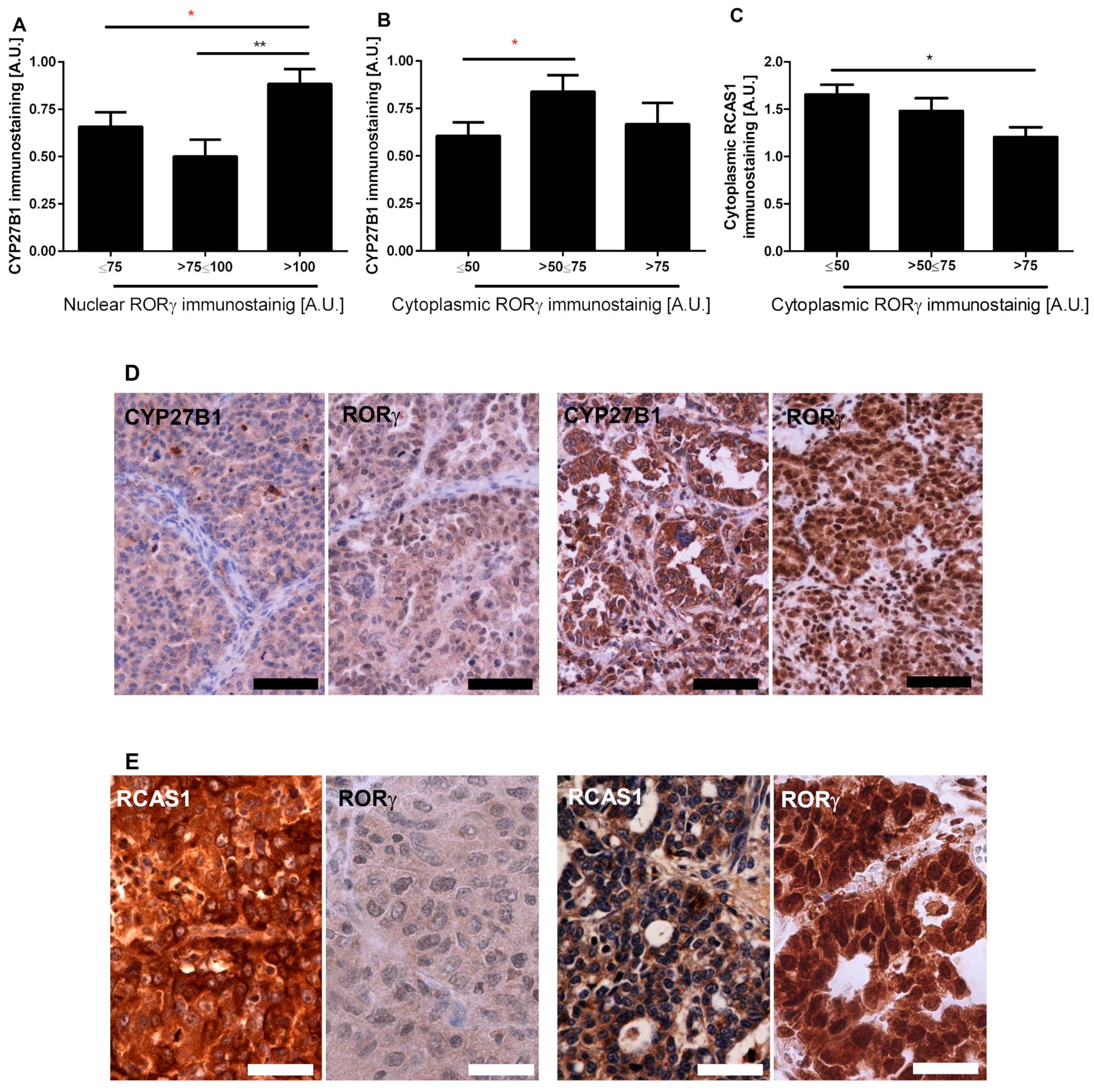 Nutrients 12 03541 g002