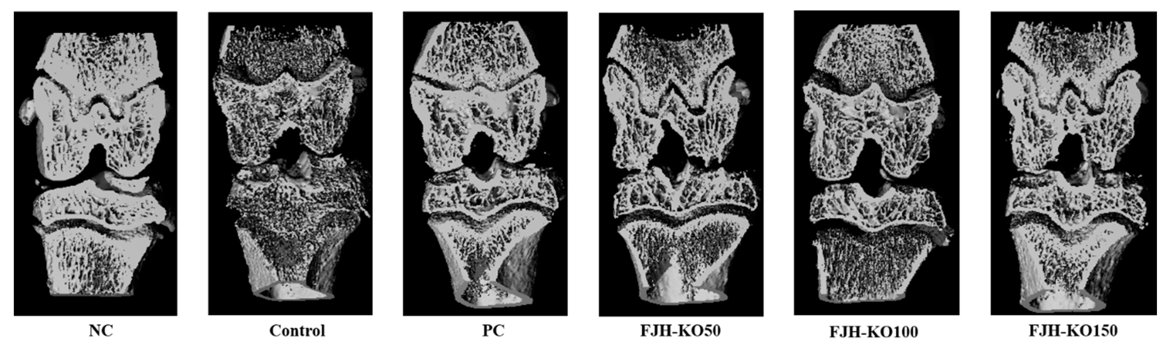 Nutrients 12 03550 g002