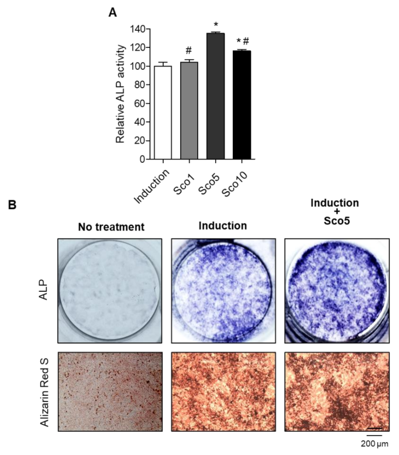 Nutrients 12 03565 g002