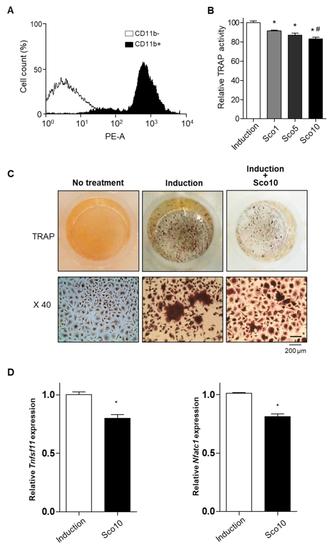 Nutrients 12 03565 g004