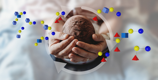 nutrients free full text in love with shaping you influential factors on the breast milk content of human milk oligosaccharides and their decisive roles for neonatal development html