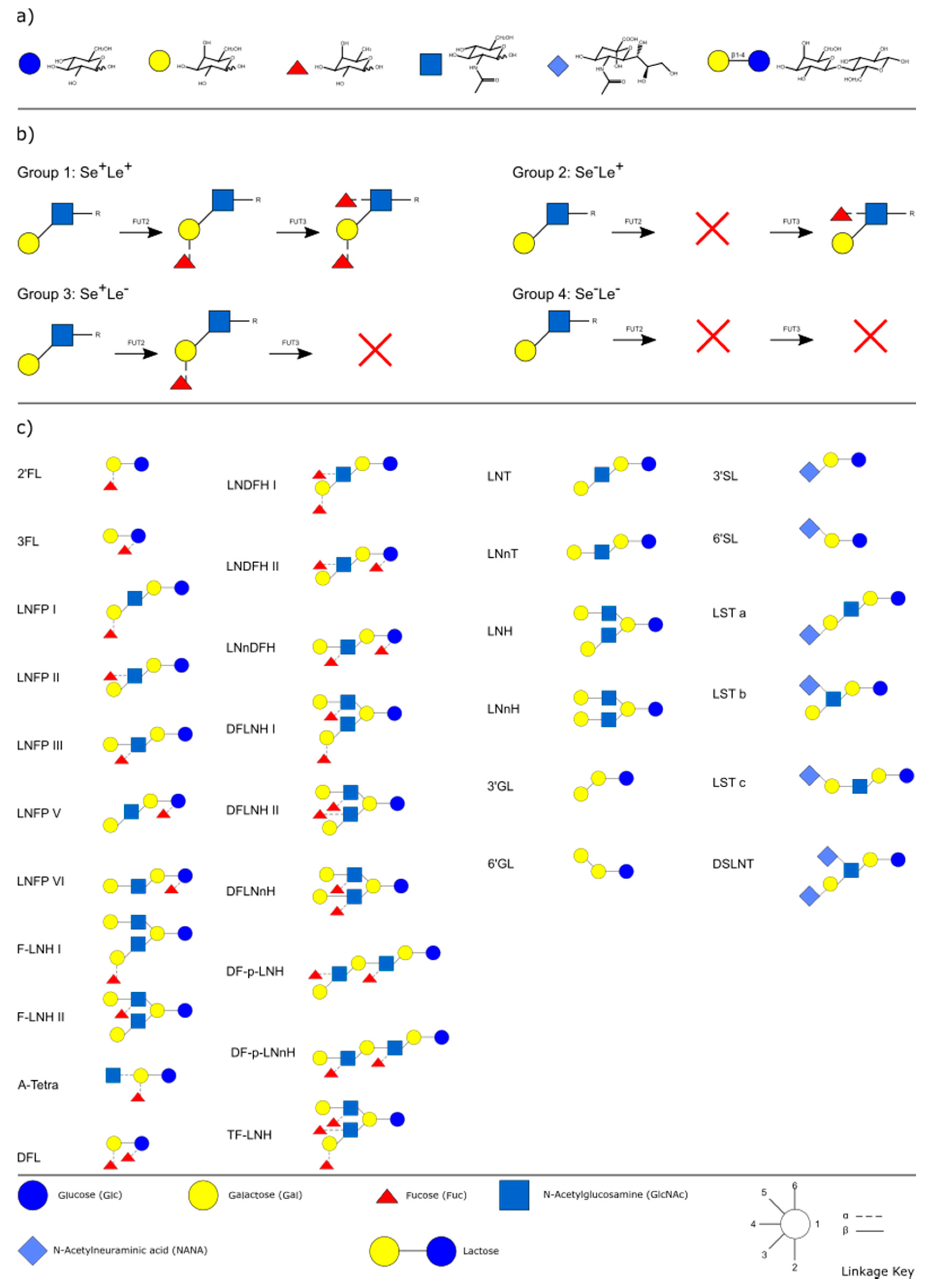 Nutrients Free Full Text In Love With Shaping You Influential Factors On The Breast Milk Content Of Human Milk Oligosaccharides And Their Decisive Roles For Neonatal Development Html Nutrients Free Full Text In Love With Shaping You Influential Factors On The Breast Milk Content Of Human Milk Oligosaccharides And Their Decisive Roles For Neonatal Development Html