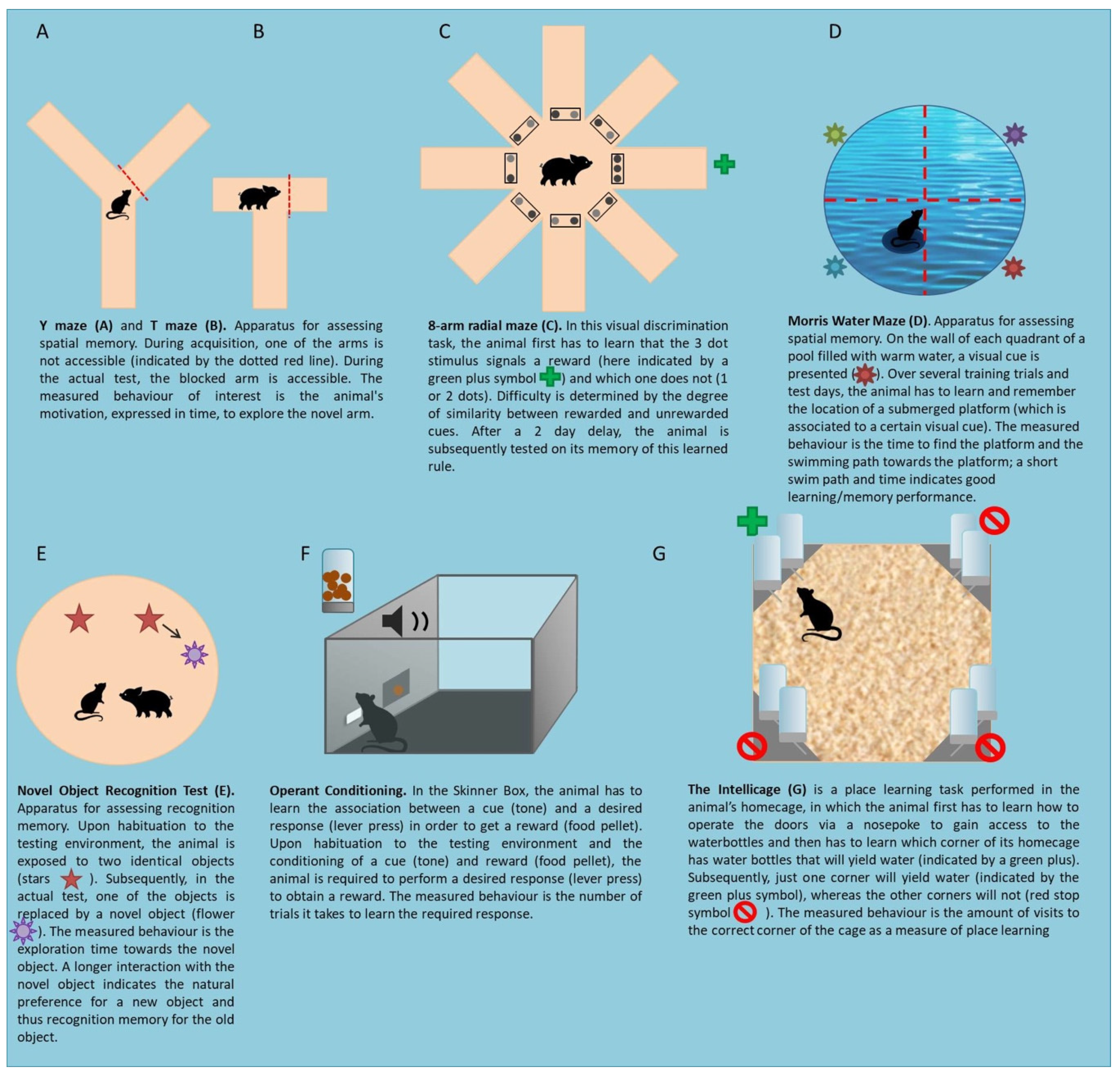 Nutrients 12 03572 g001 Nutrients 12 03572 g001