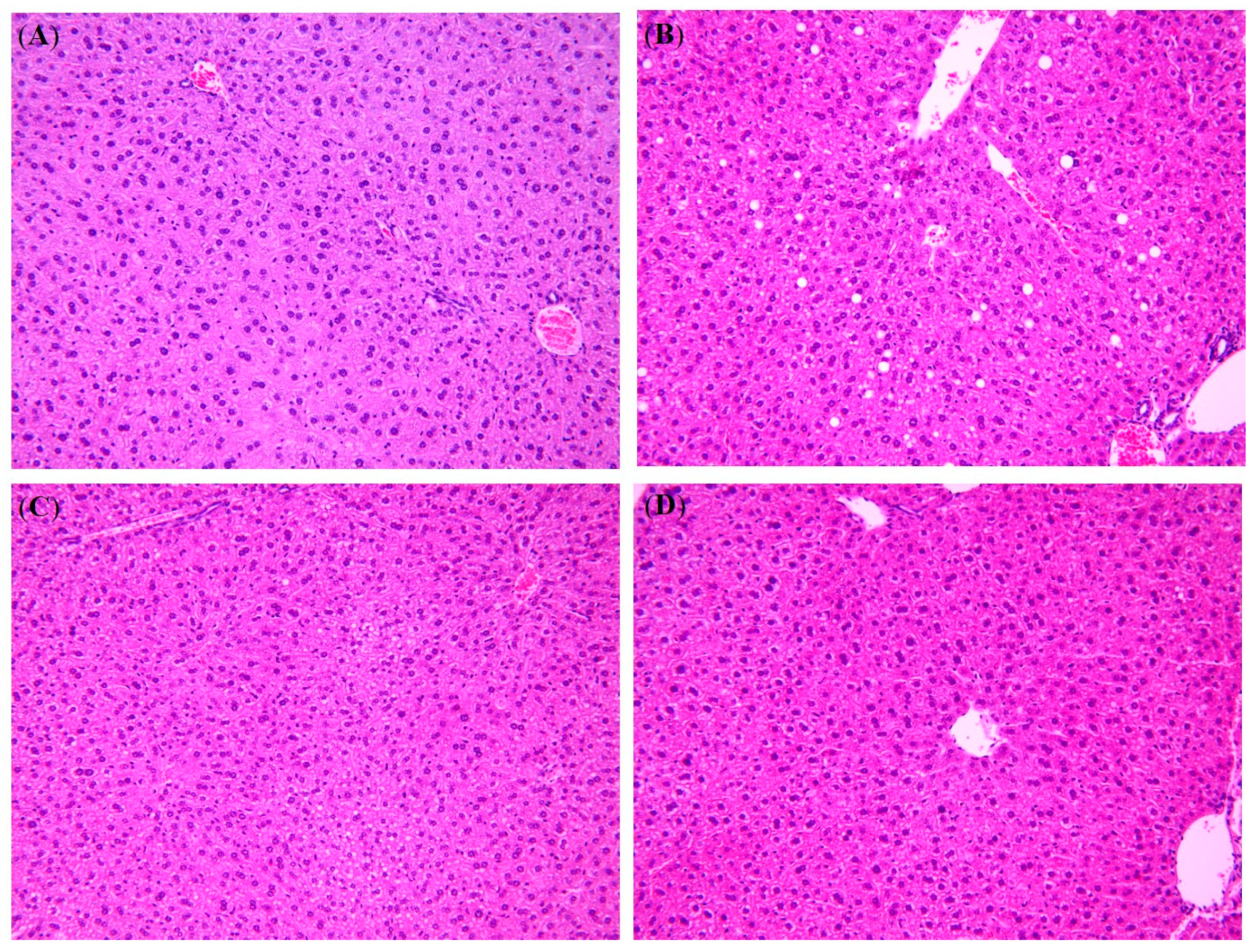 Nutrients 12 03576 g002