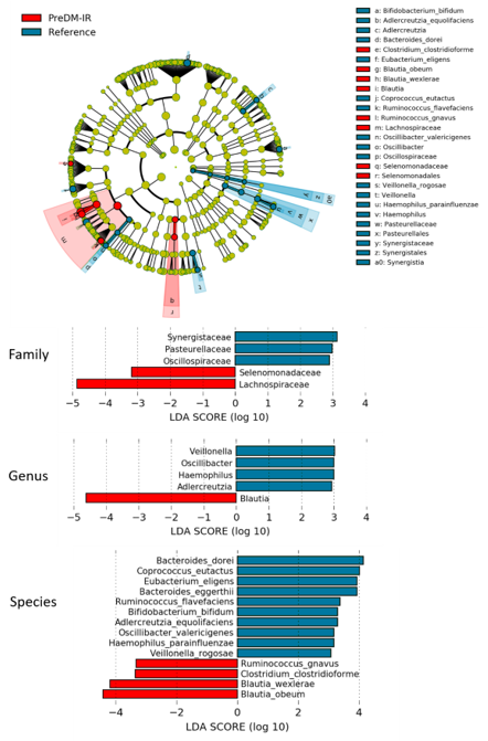 Nutrients 12 03595 g003