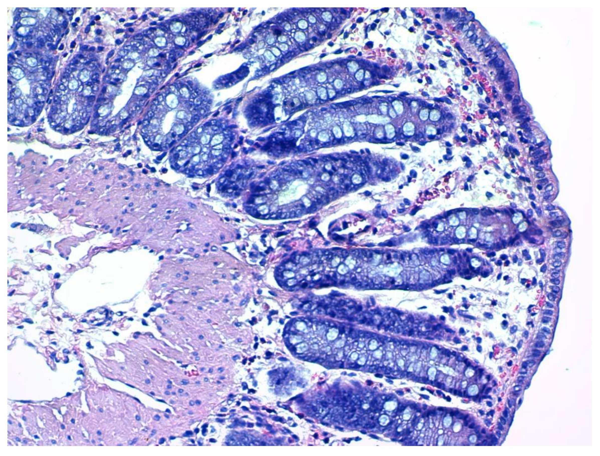 Nutrients 12 03607 g005
