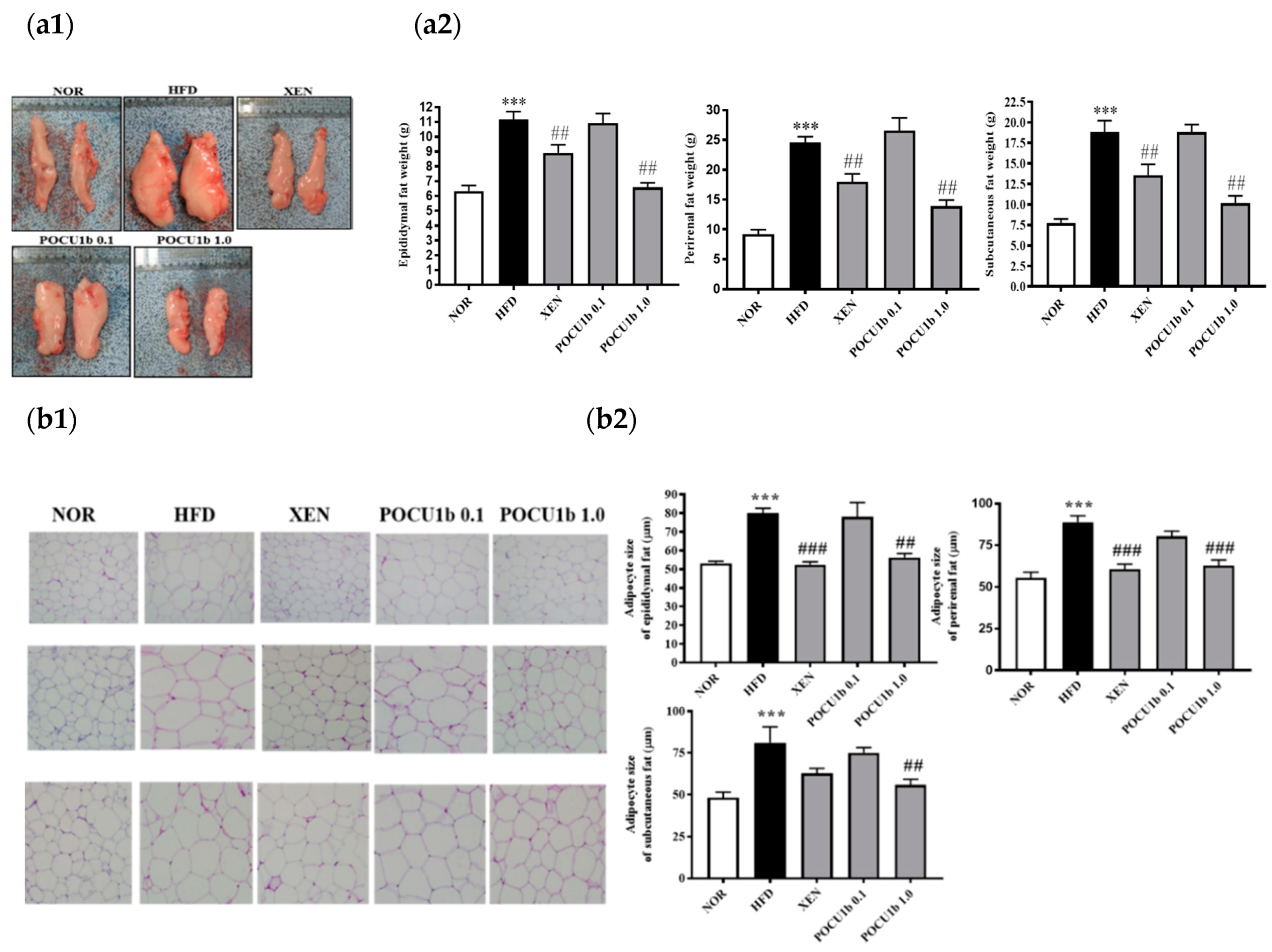 Nutrients 12 03612 g004