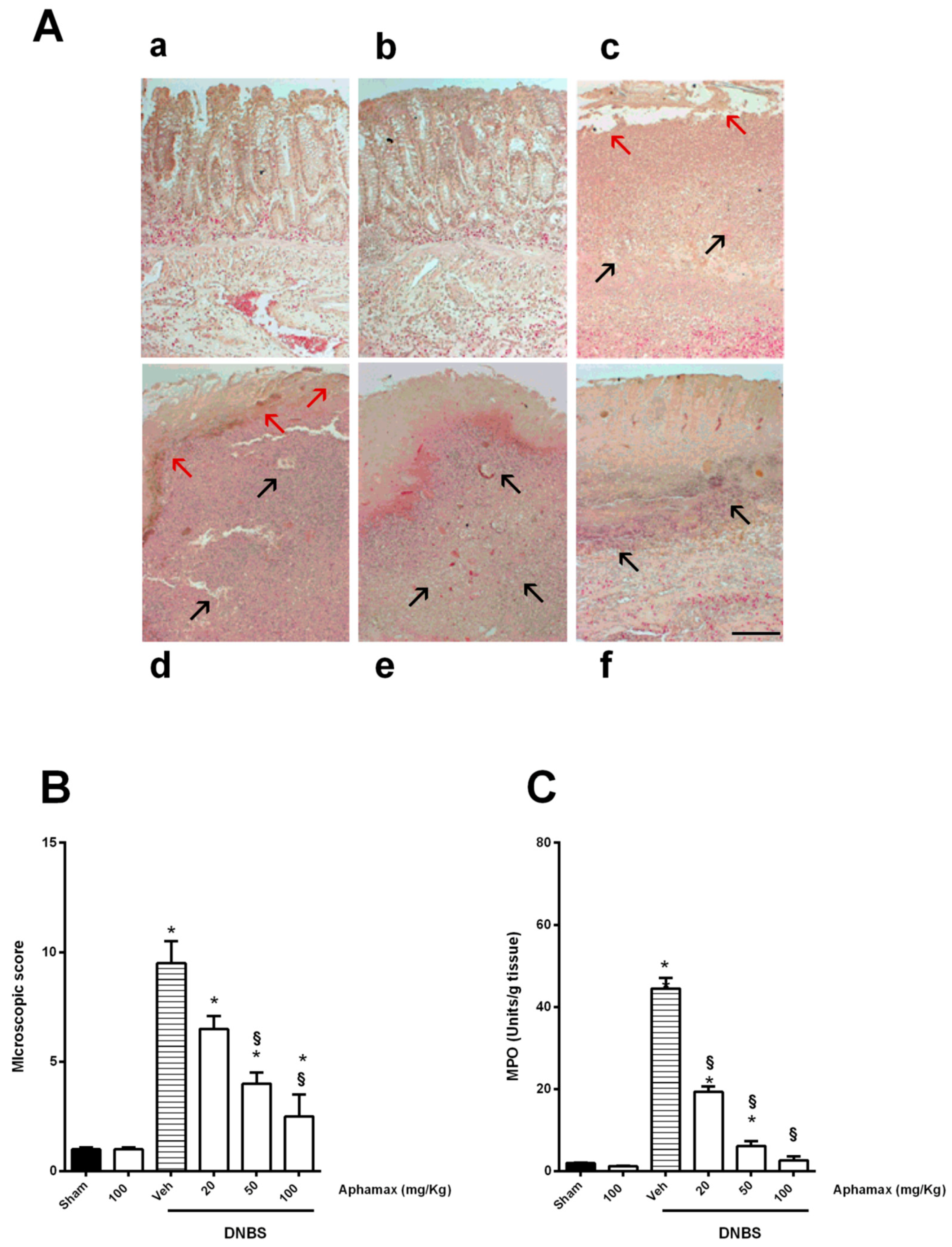 Nutrients 12 03635 g002