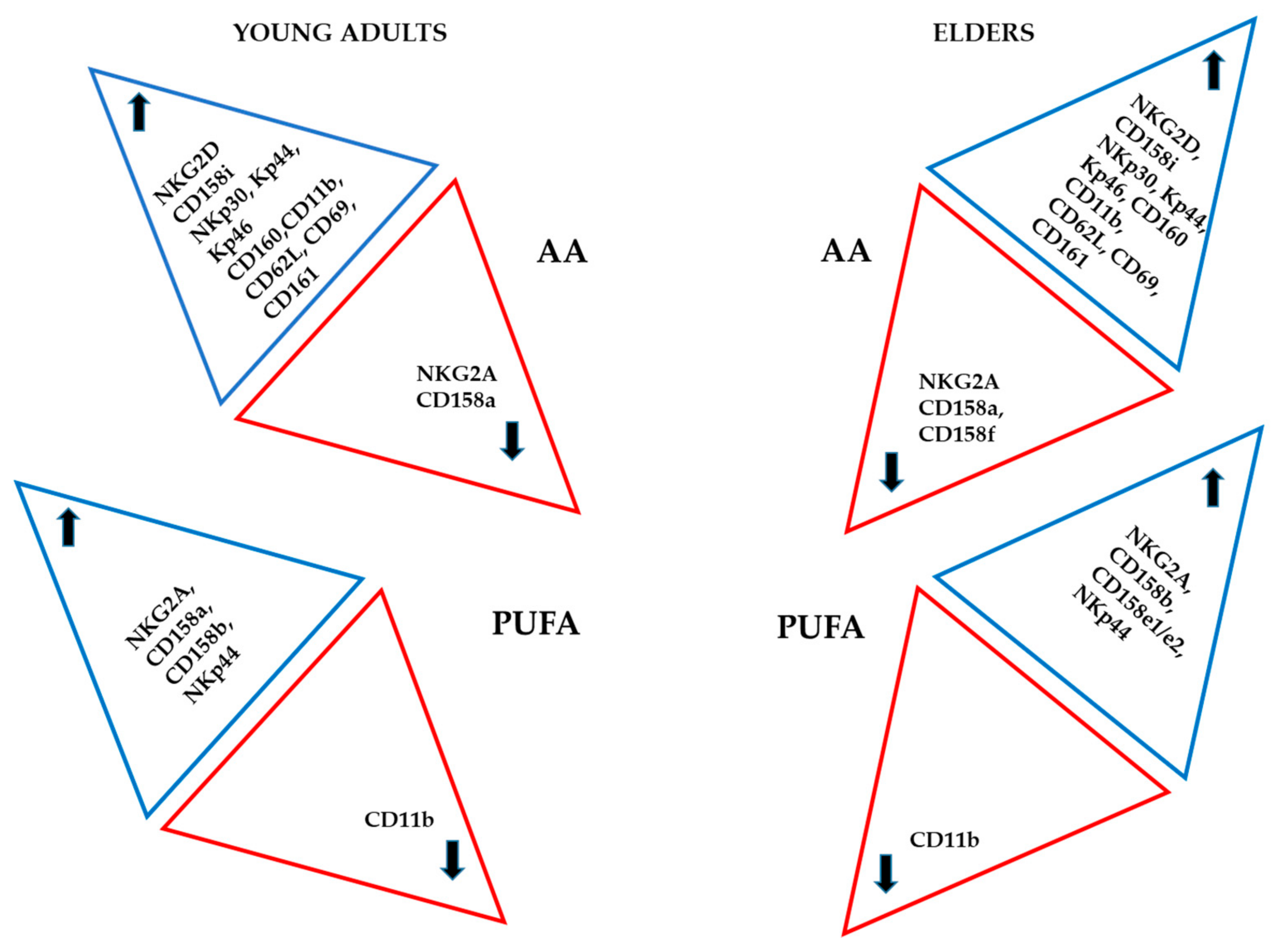 Nutrients 12 03641 g006 Nutrients 12 03641 g006