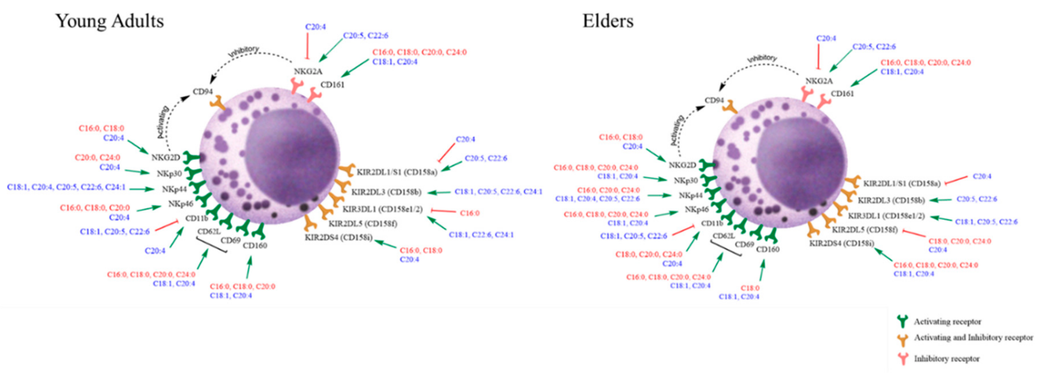 Nutrients 12 03641 g007 Nutrients 12 03641 g007