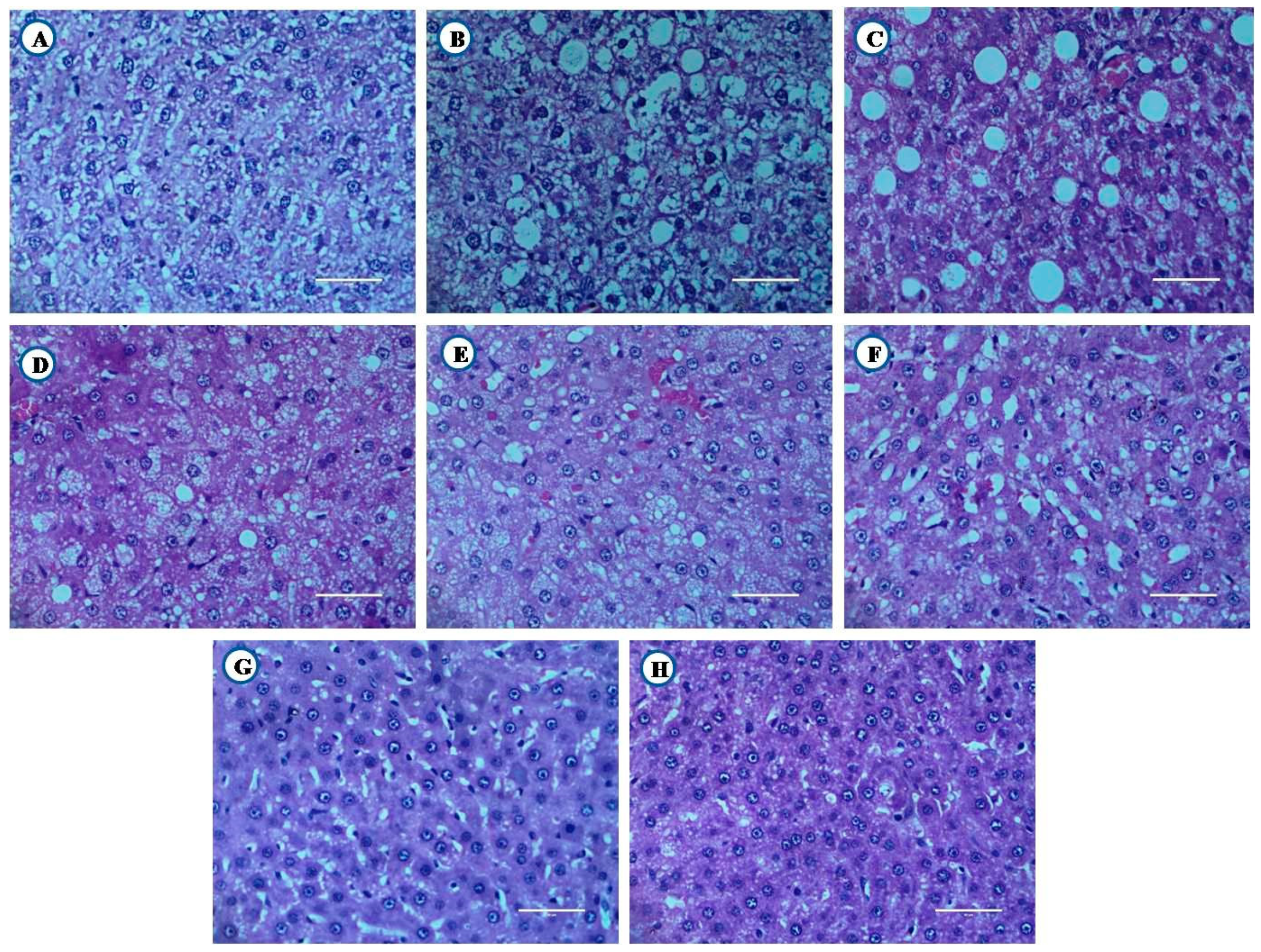 Nutrients 12 03652 g011