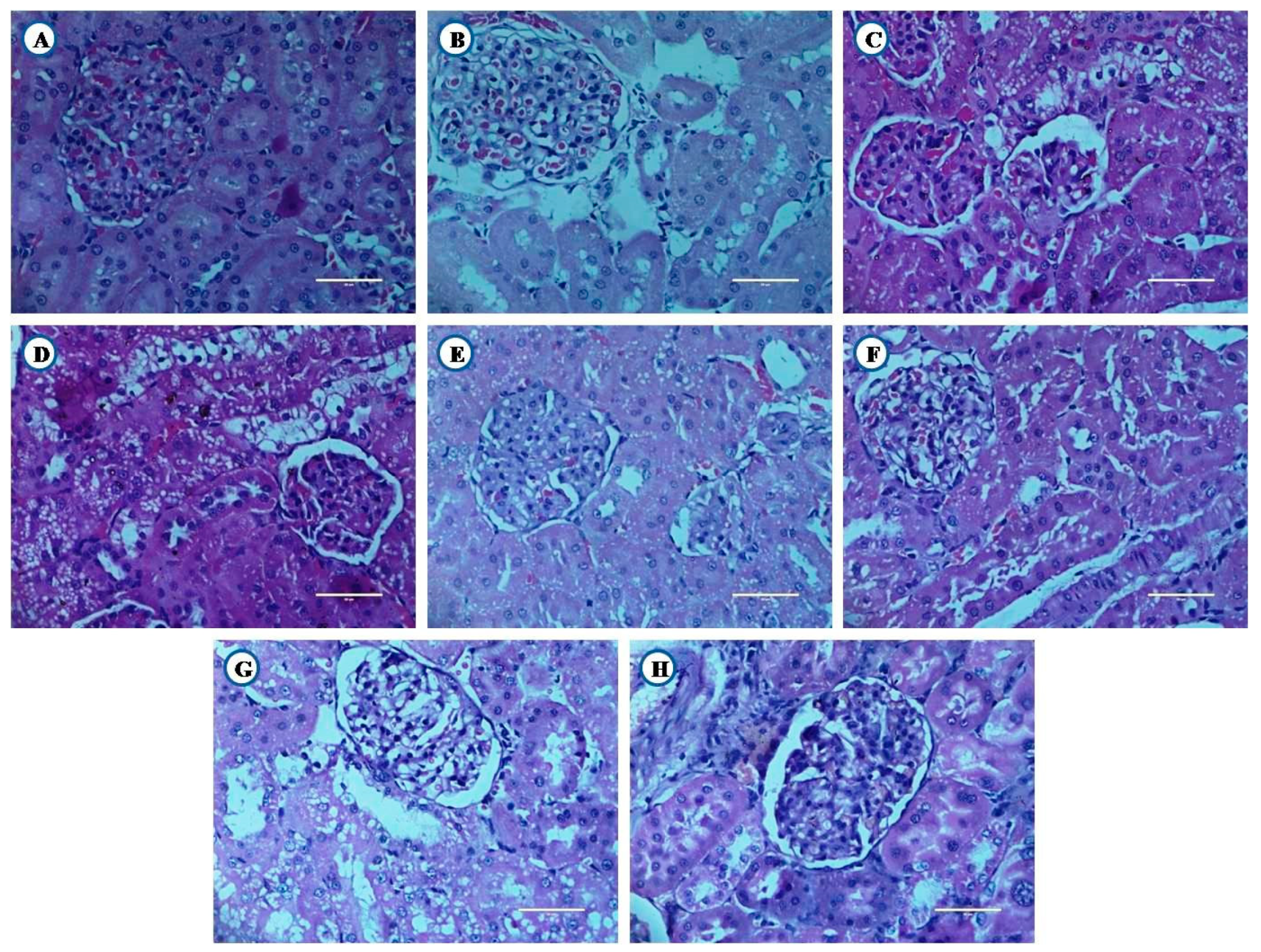 Nutrients 12 03652 g012