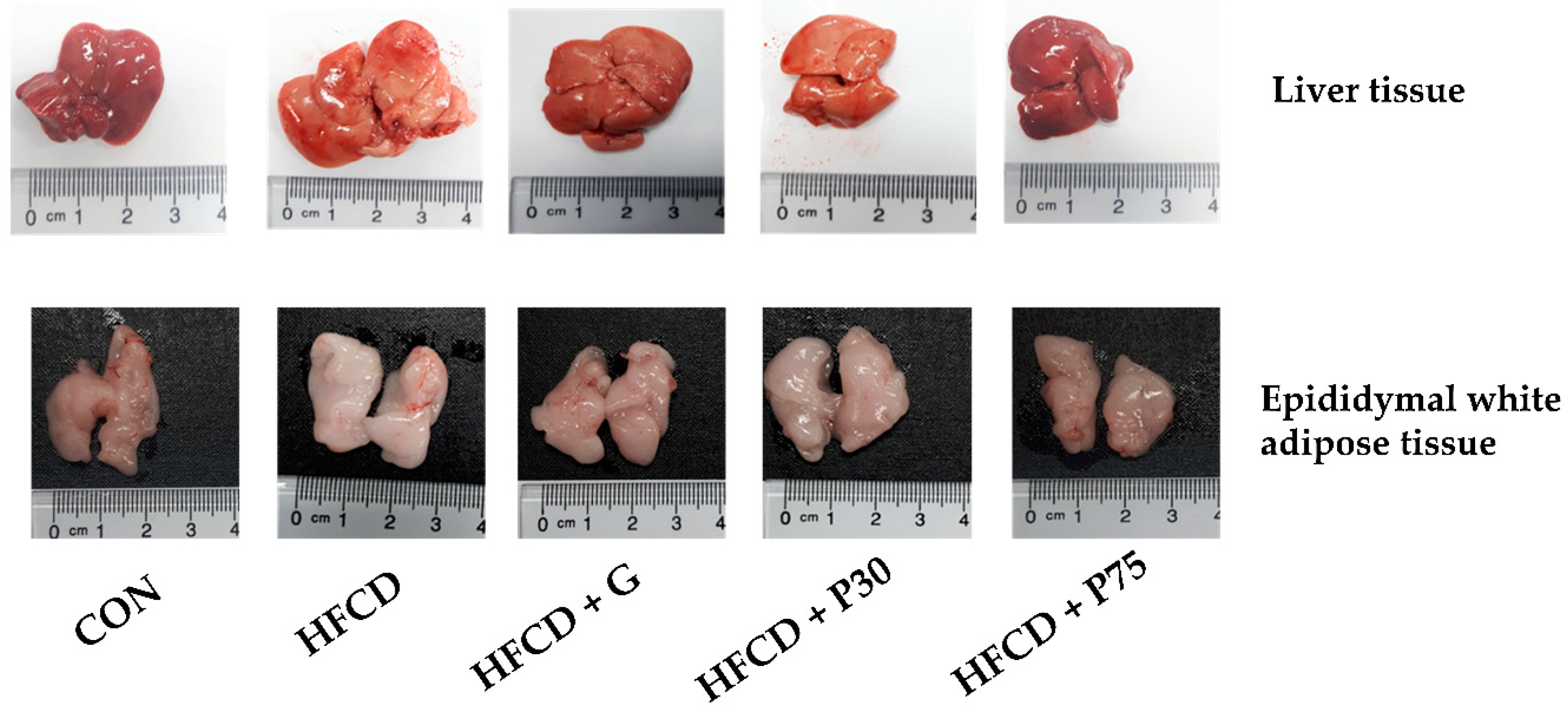 Nutrients 12 03657 g001