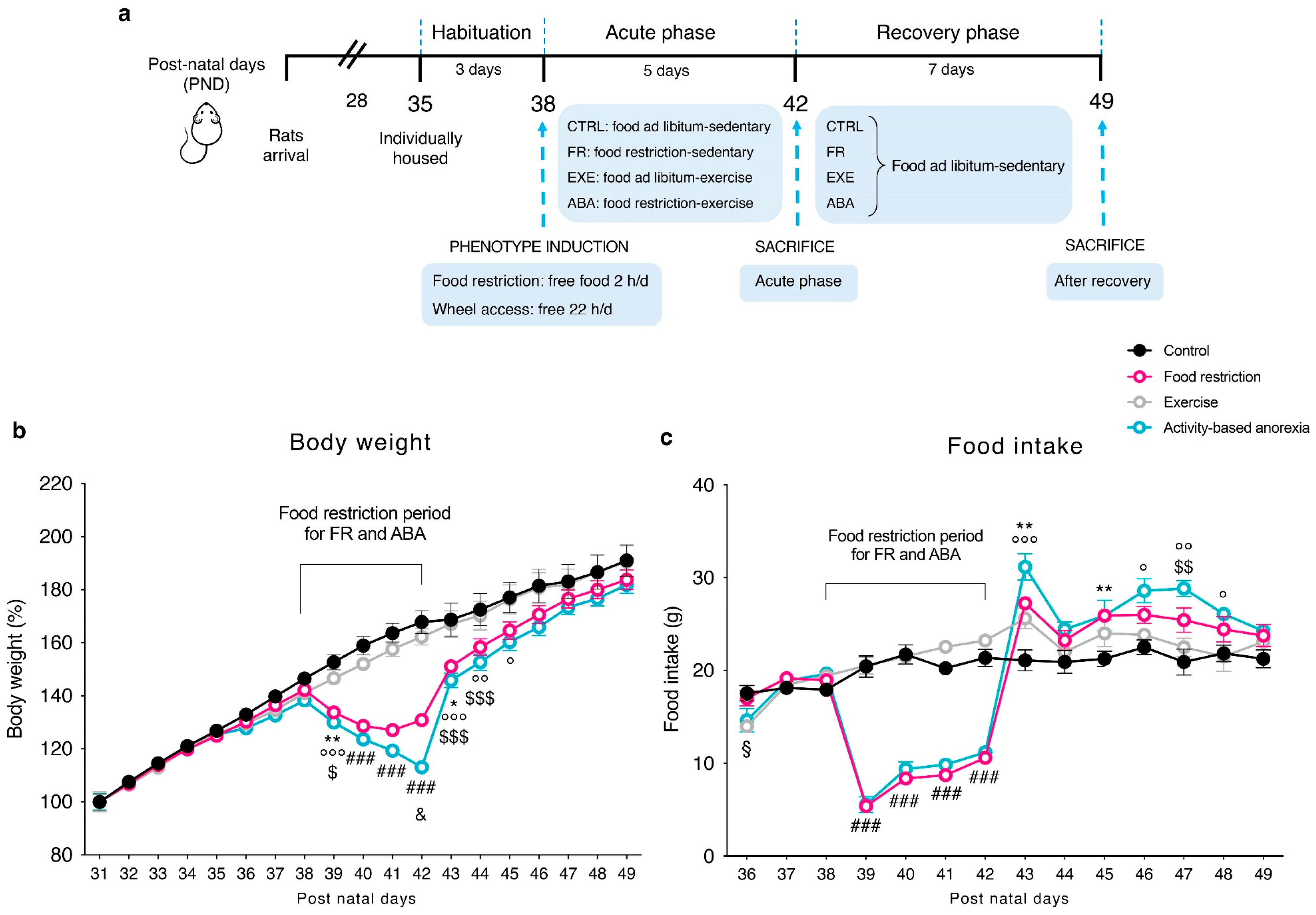 Nutrients Free FullText ActivityBased Anorexia Dynamically