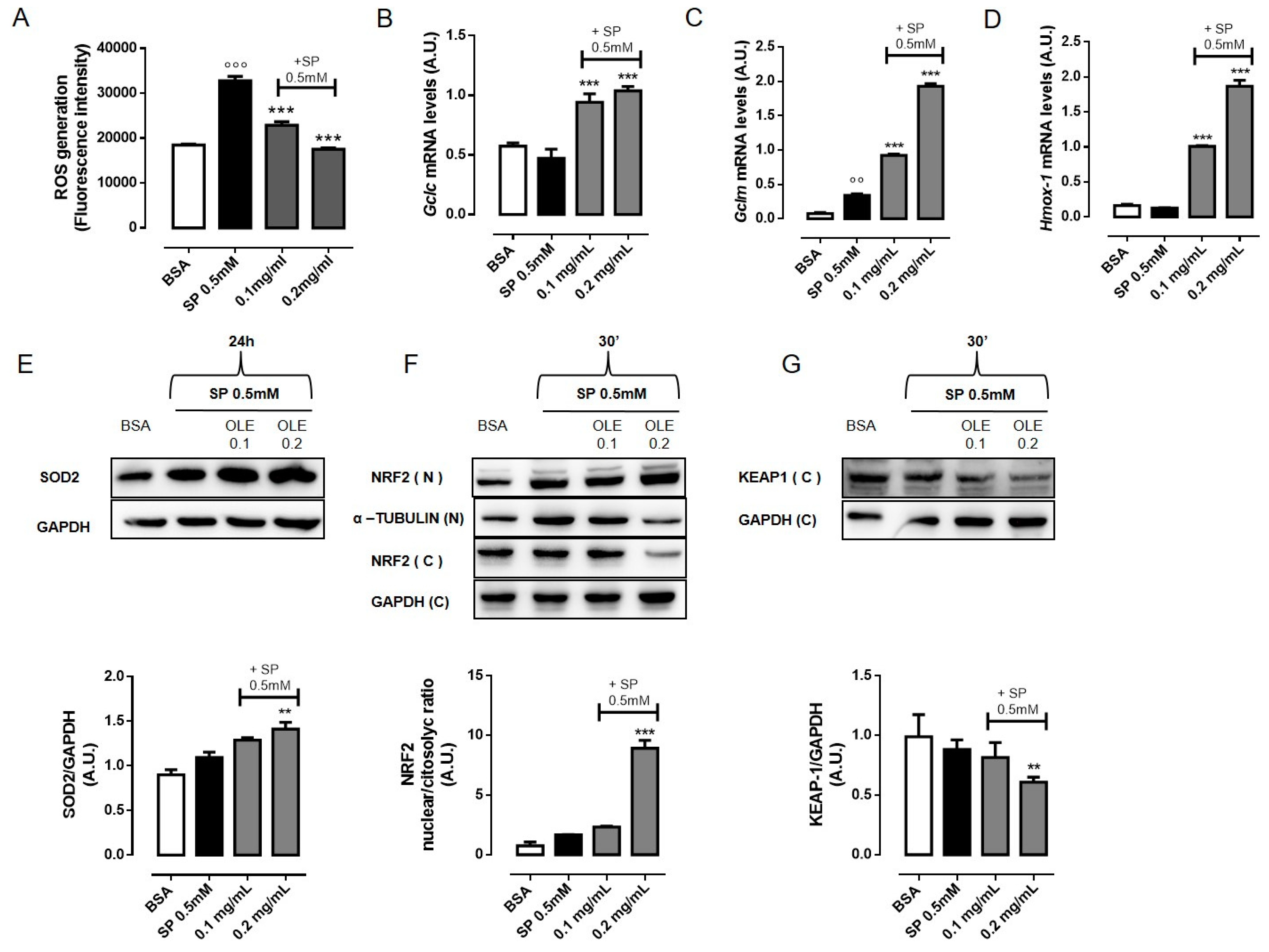 Nutrients 12 03663 g002 Nutrients 12 03663 g002