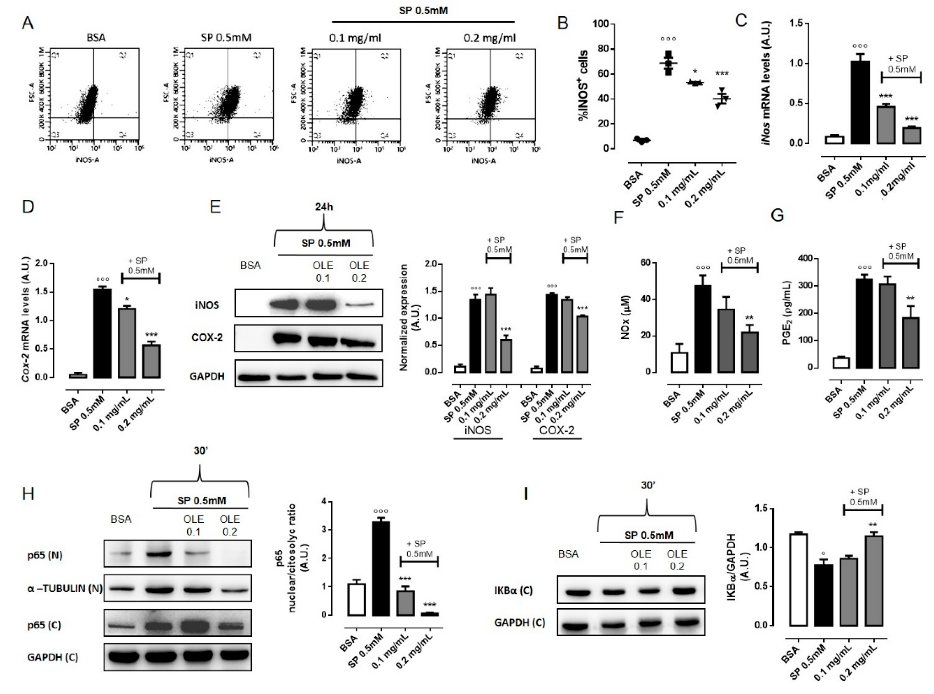 Nutrients 12 03663 g003 Nutrients 12 03663 g003