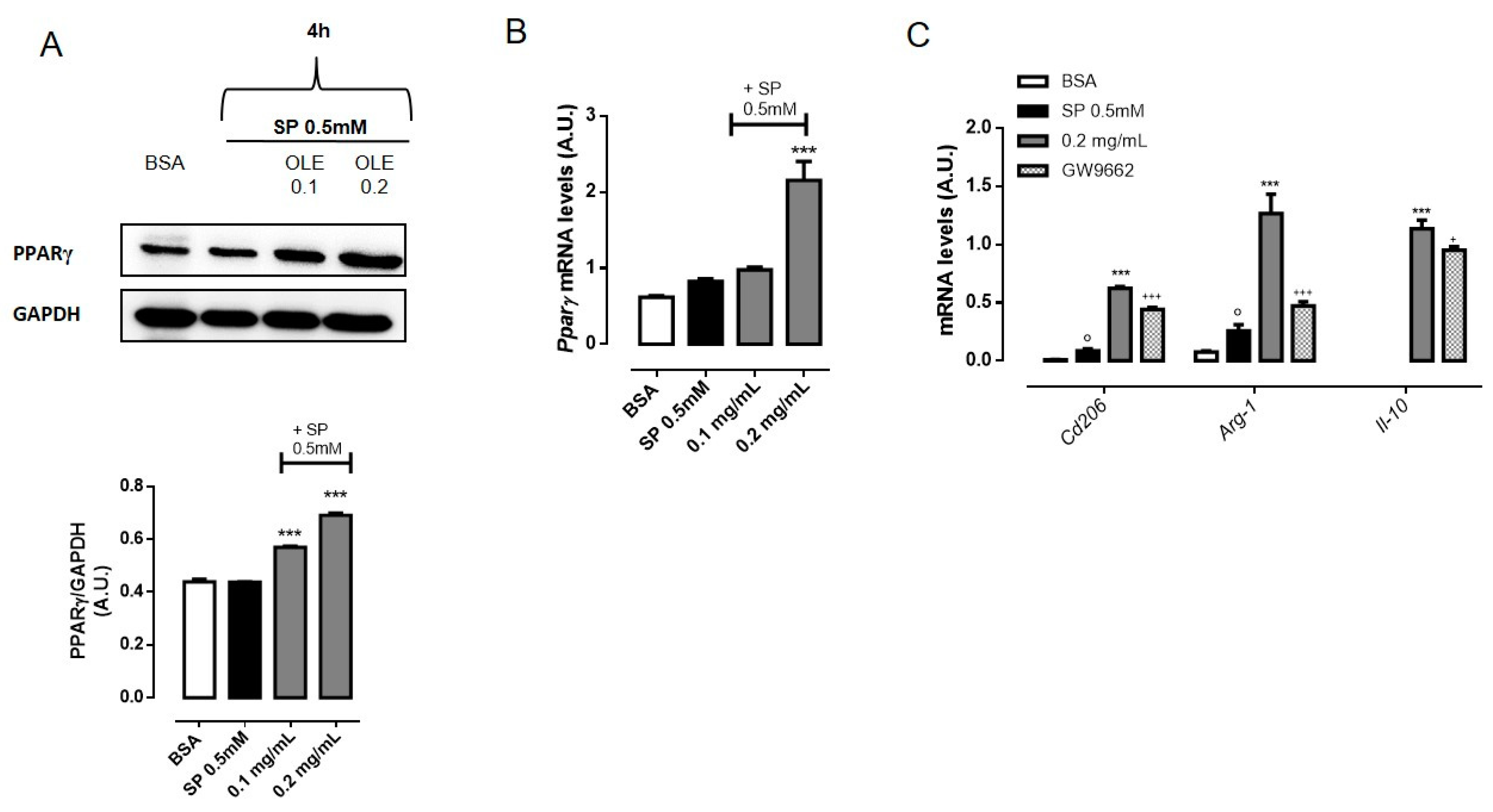 Nutrients 12 03663 g005 Nutrients 12 03663 g005