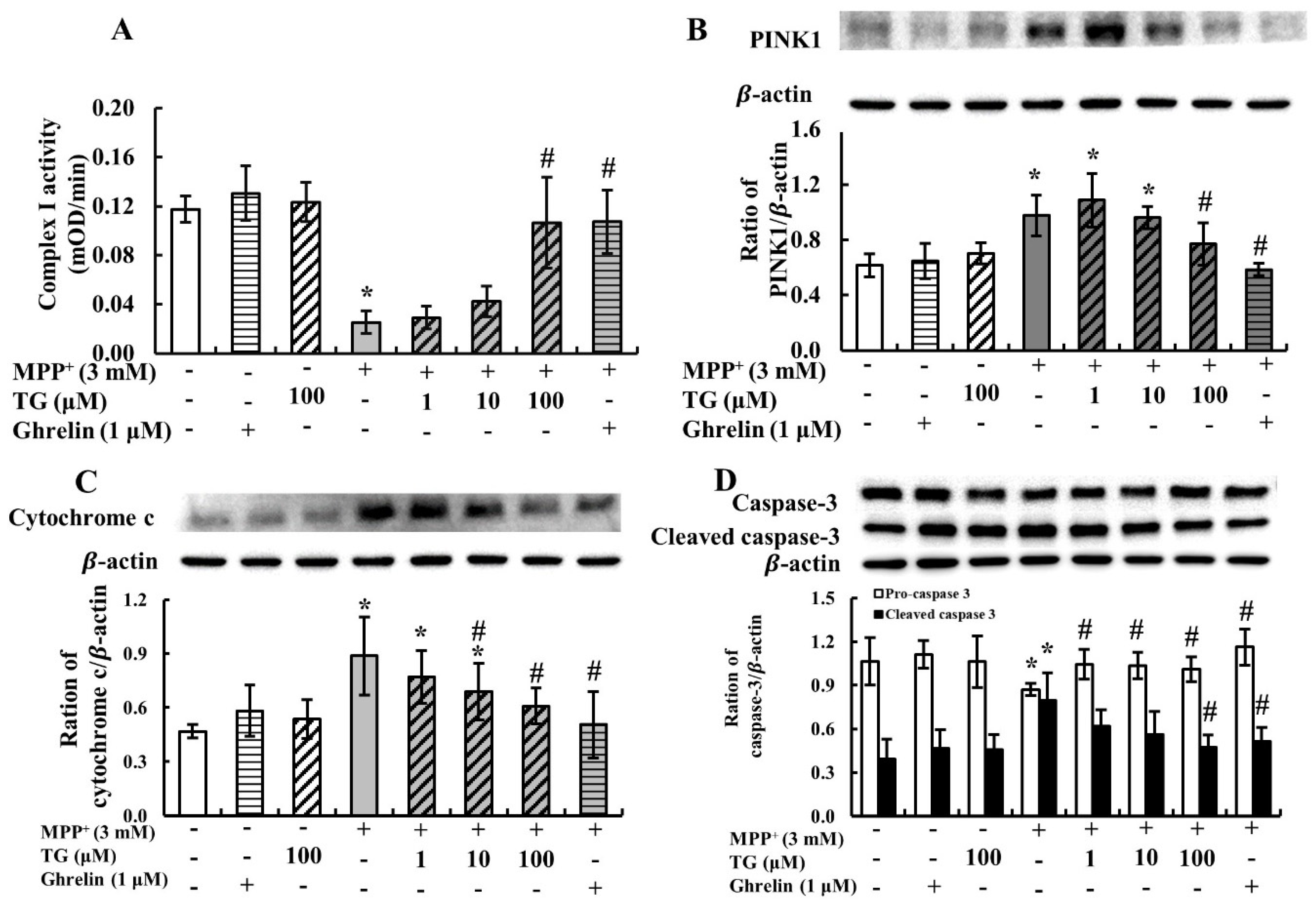 Nutrients 12 03665 g002
