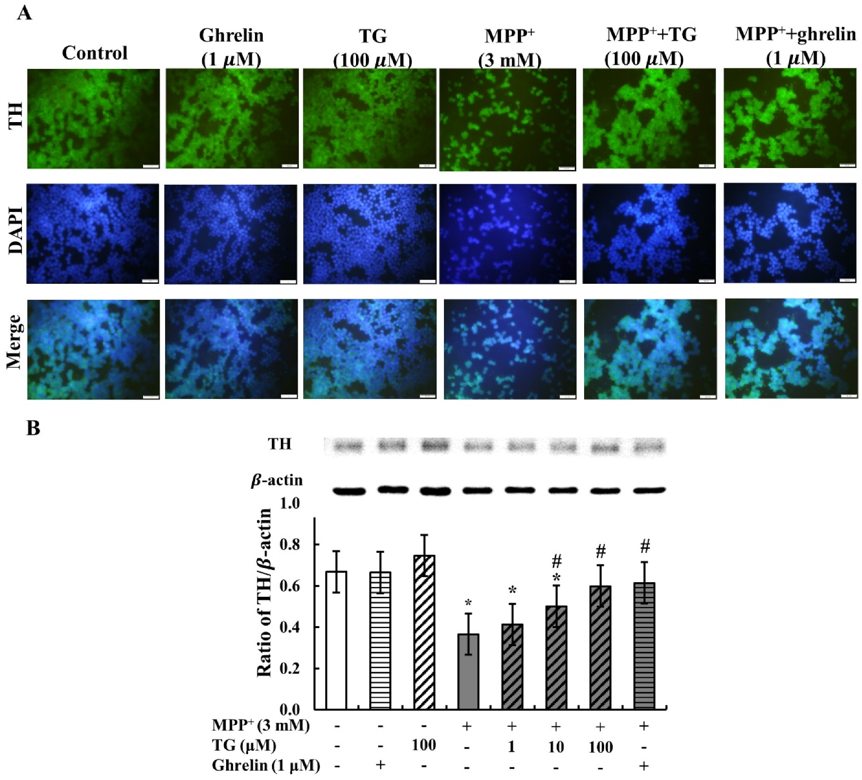 Nutrients 12 03665 g003