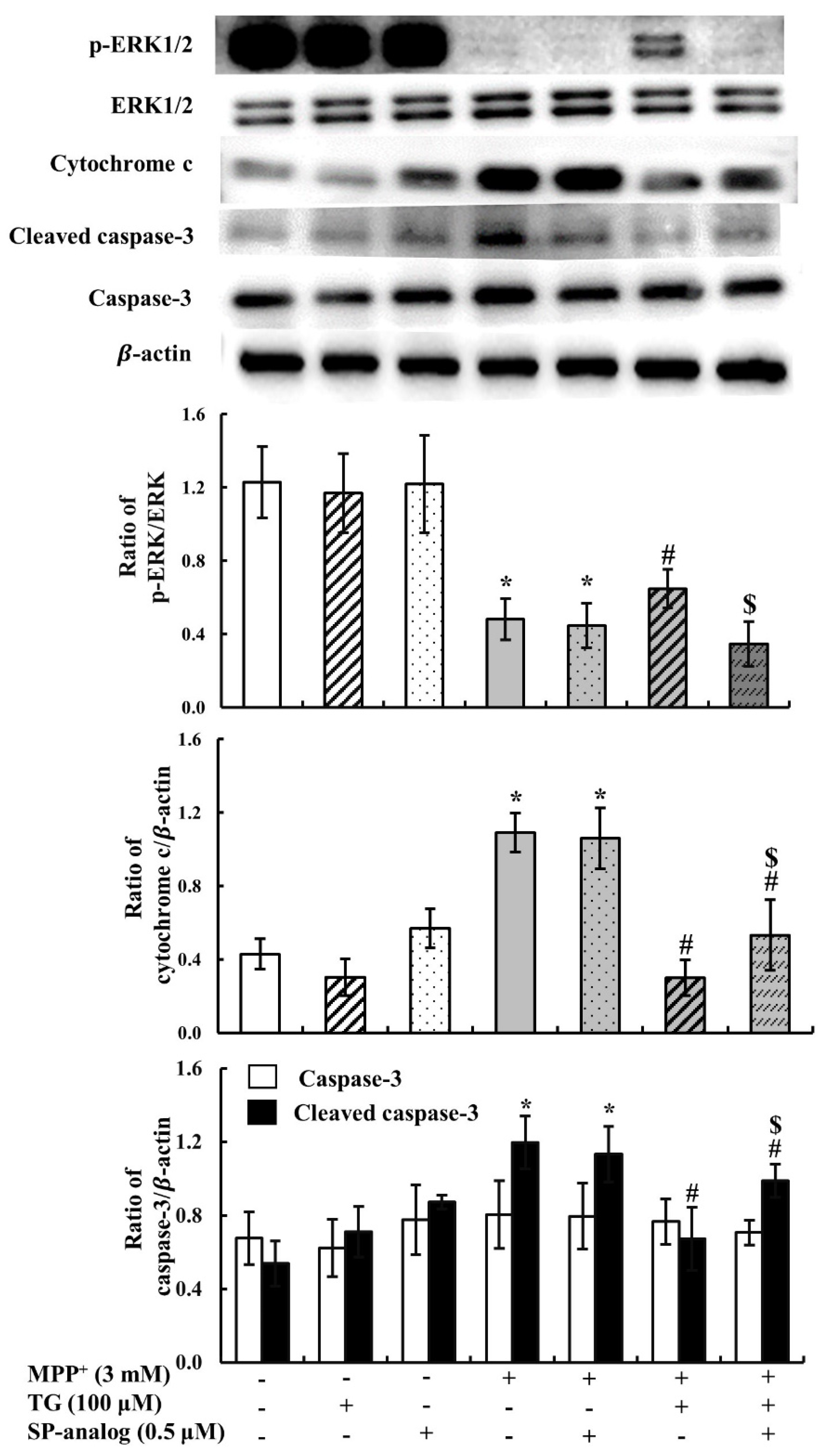 Nutrients 12 03665 g006