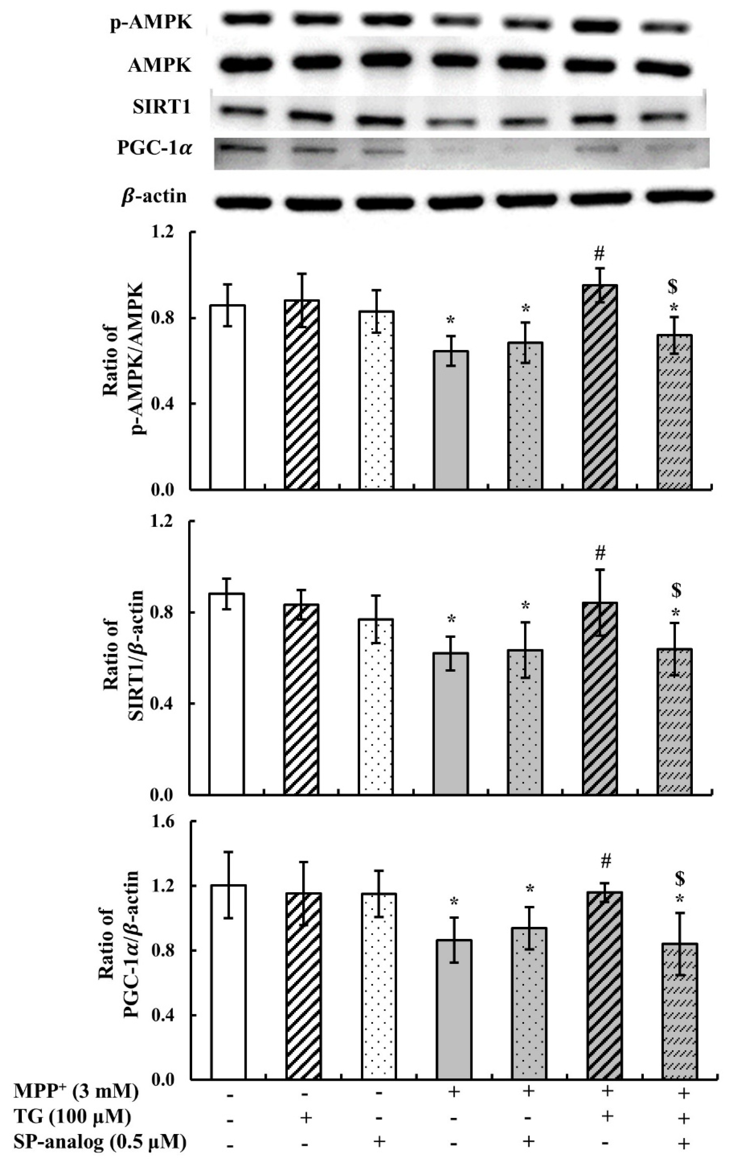 Nutrients 12 03665 g007