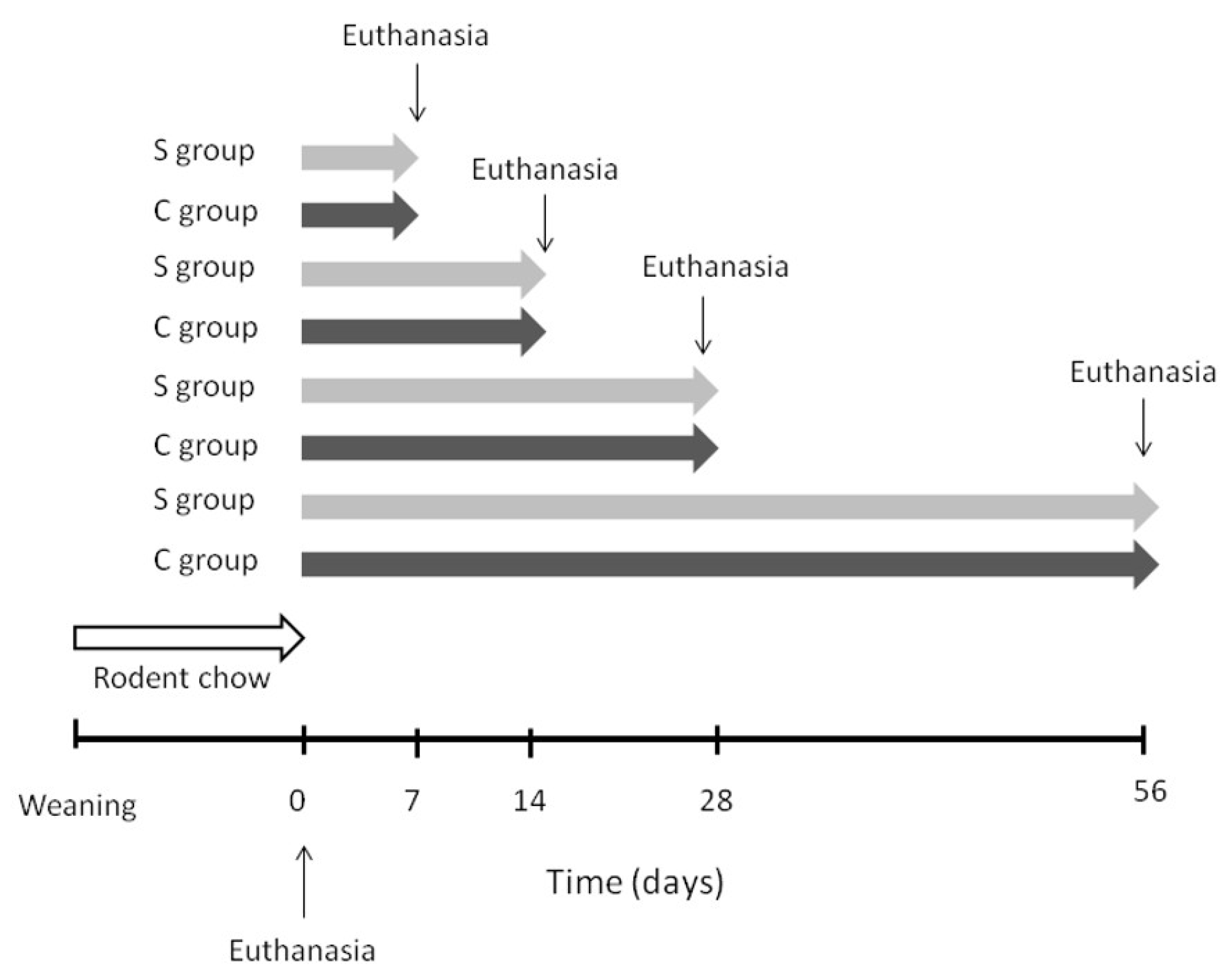Nutrients 12 03667 g001 Nutrients 12 03667 g001