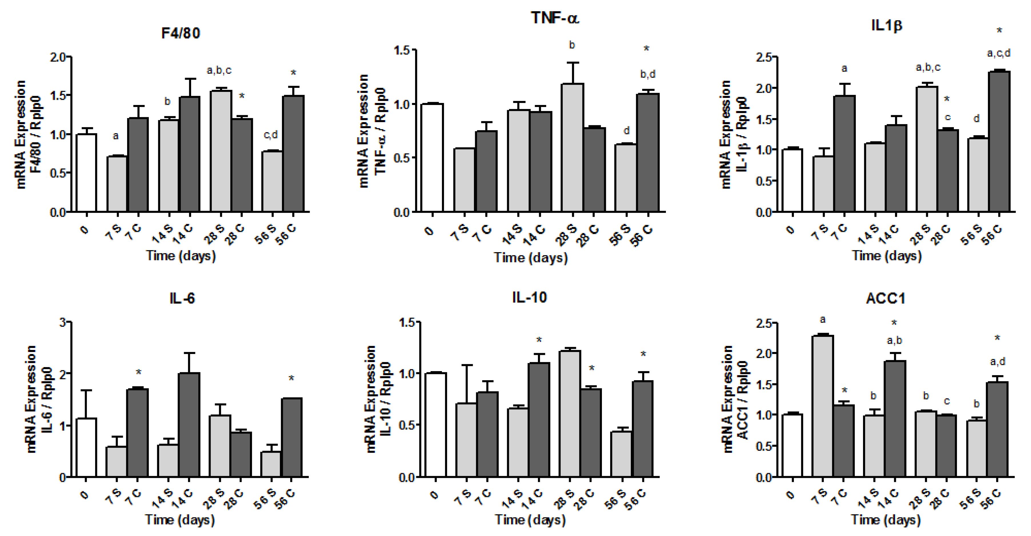 Nutrients 12 03667 g002 Nutrients 12 03667 g002