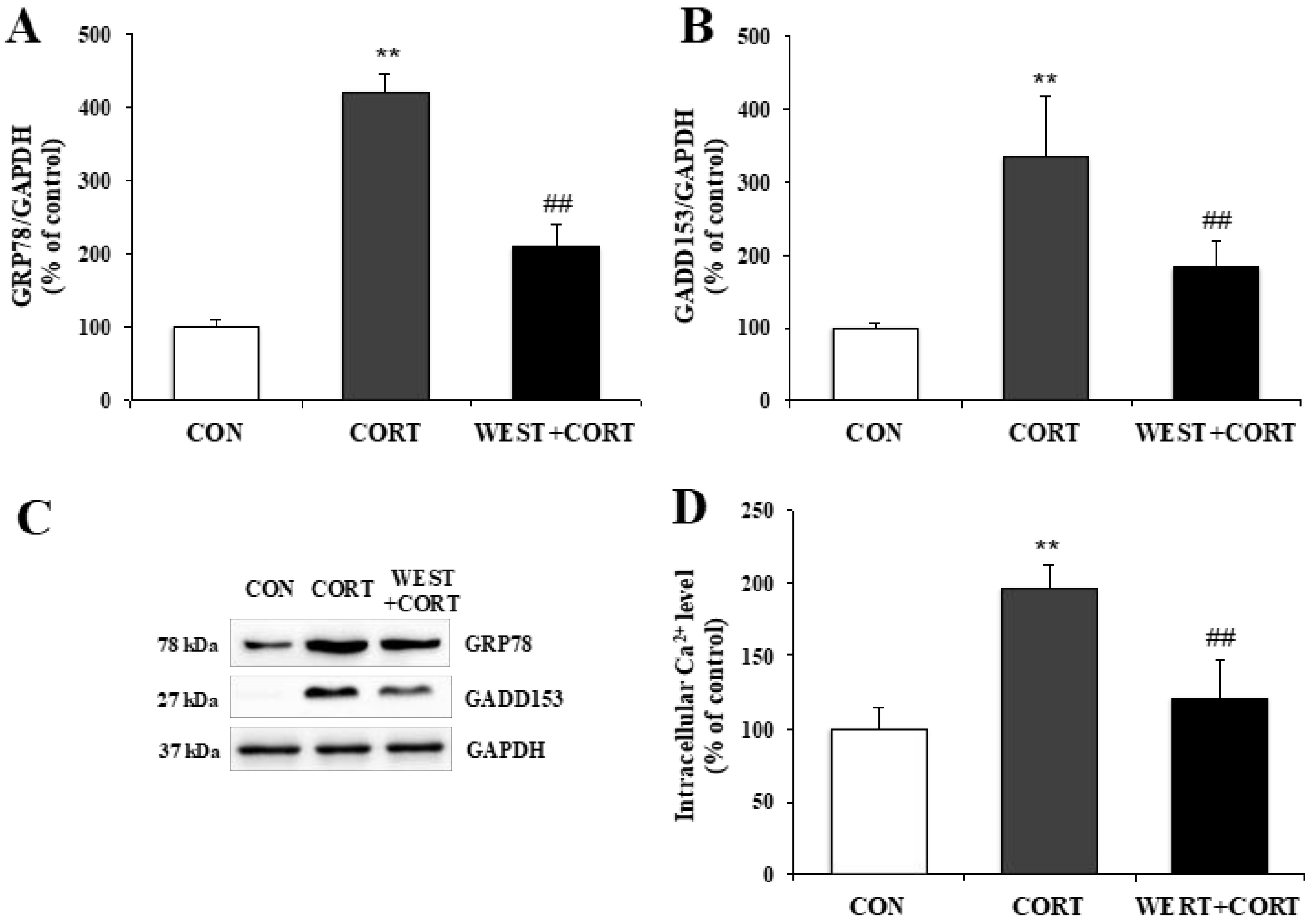 Nutrients 12 03713 g005 Nutrients 12 03713 g005