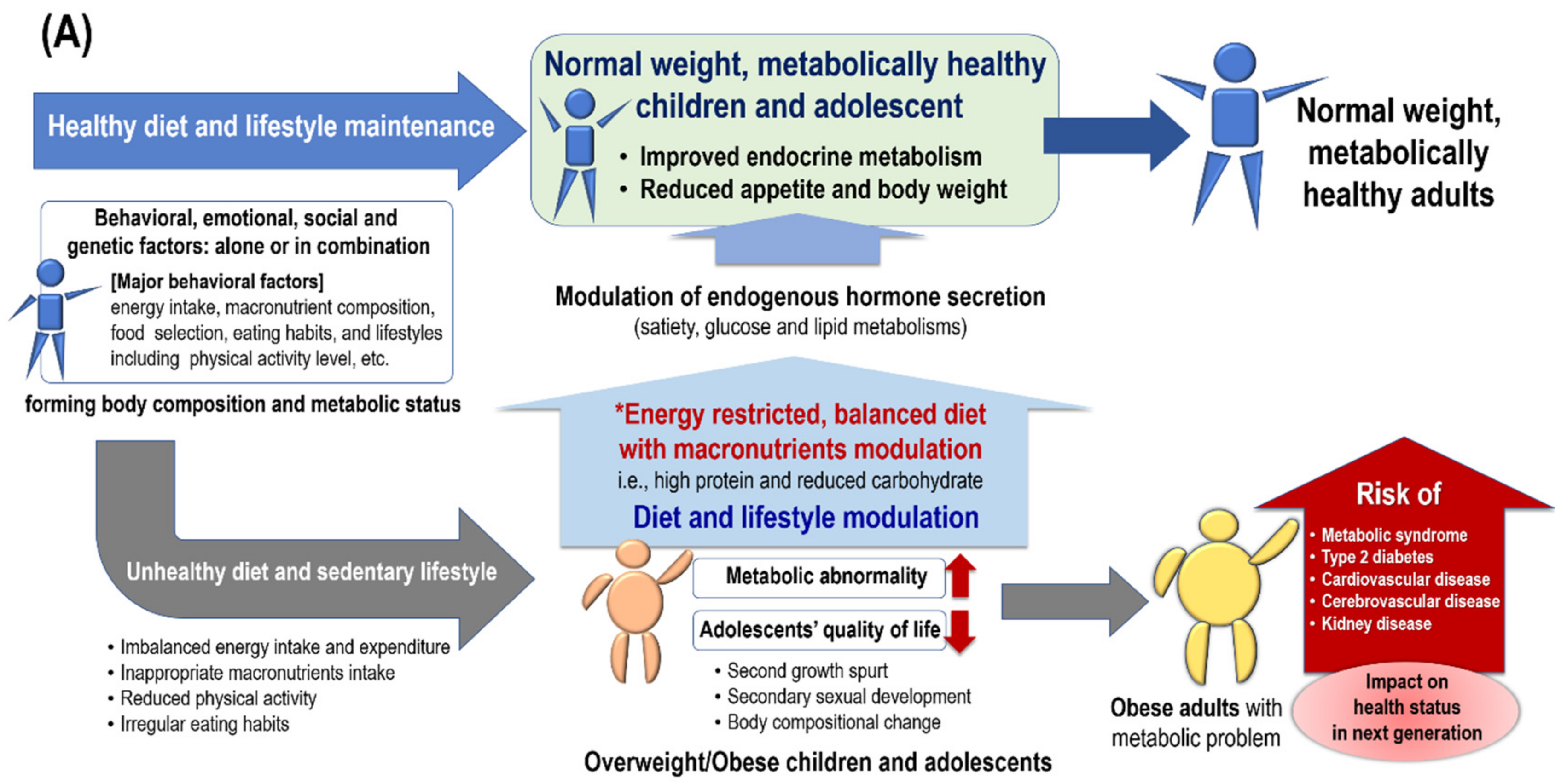 diabetic diet macronutrients