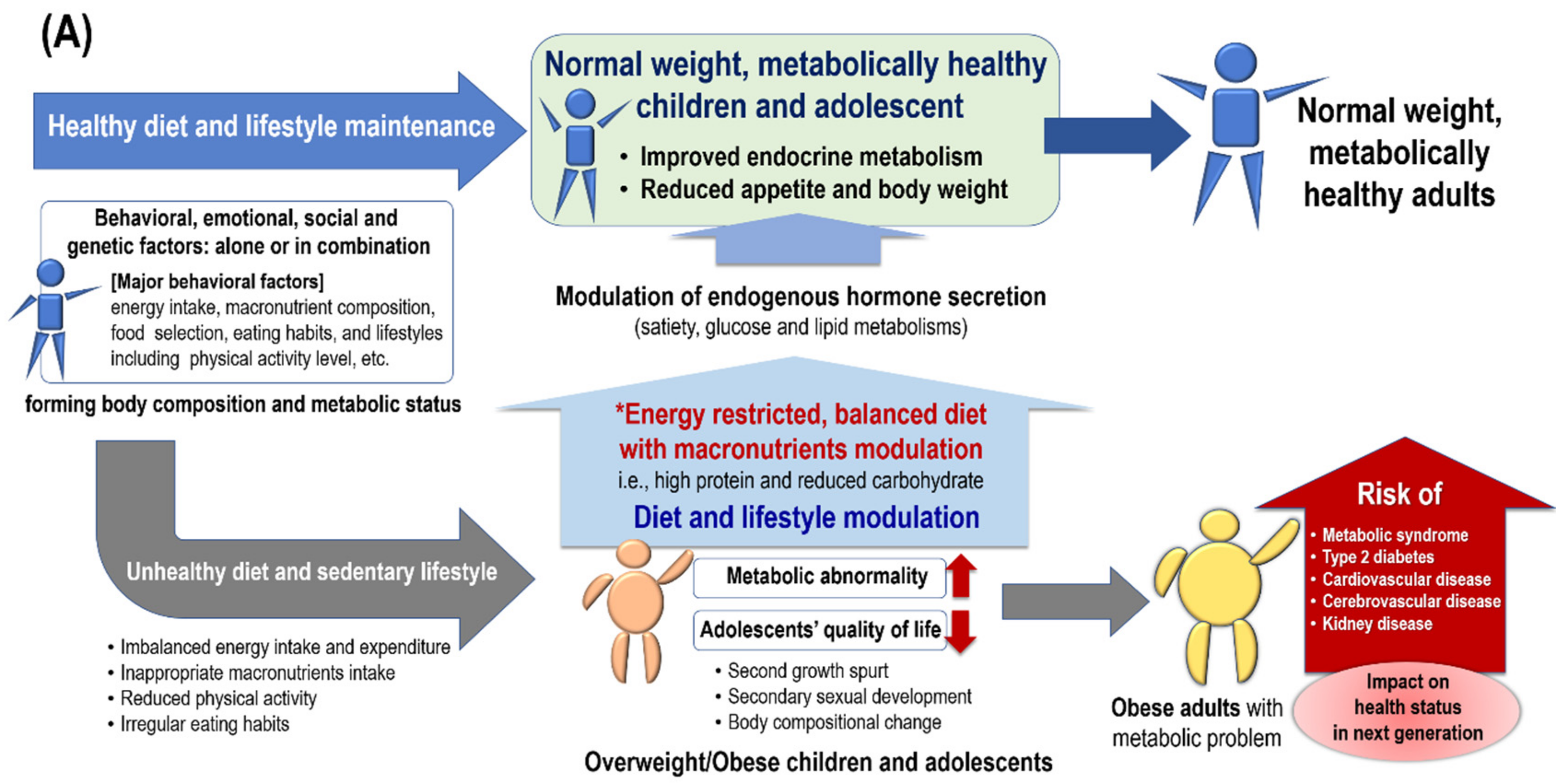 diabetic diet macronutrients)