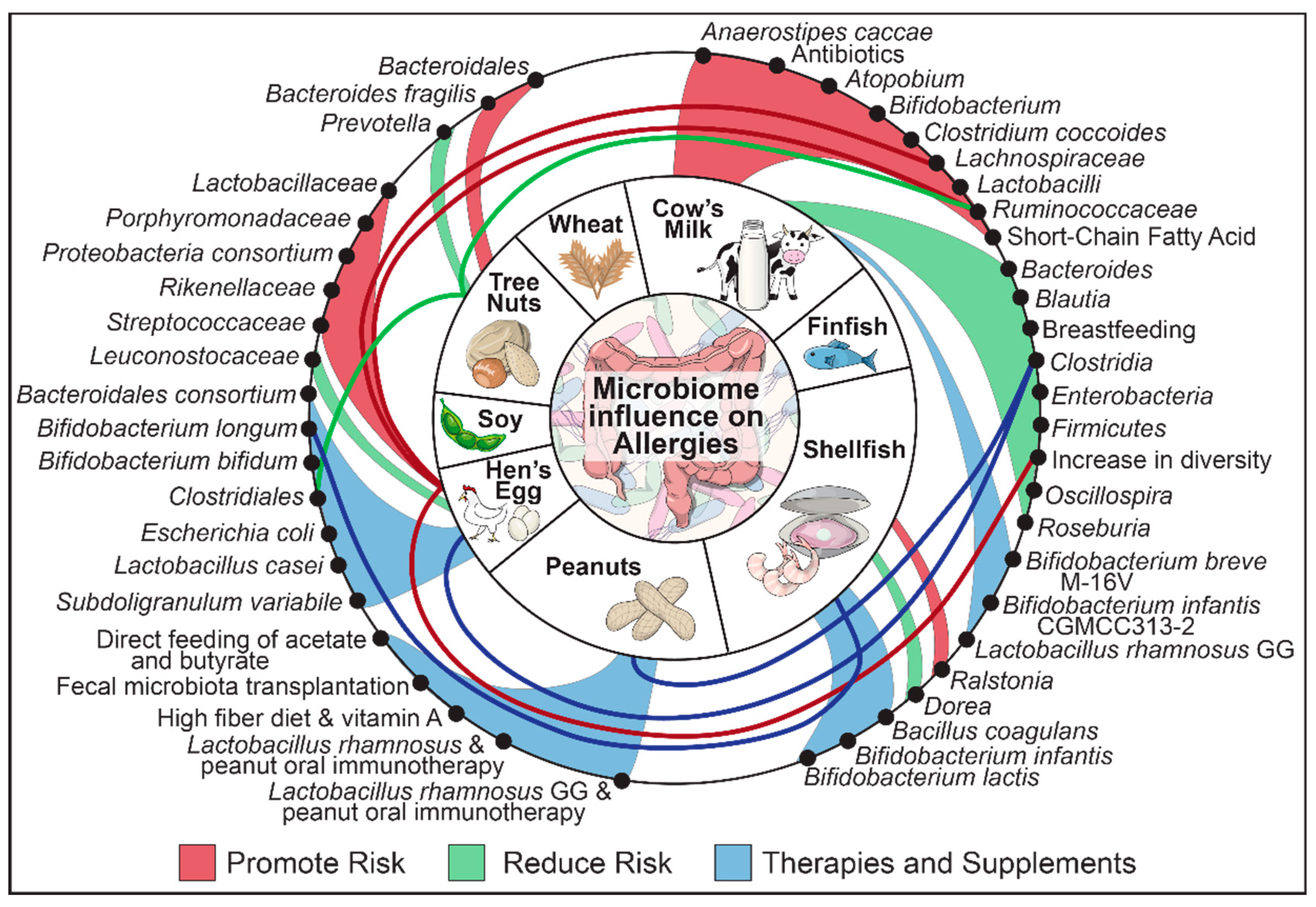 Nutrients 12 03728 g001 Nutrients 12 03728 g001