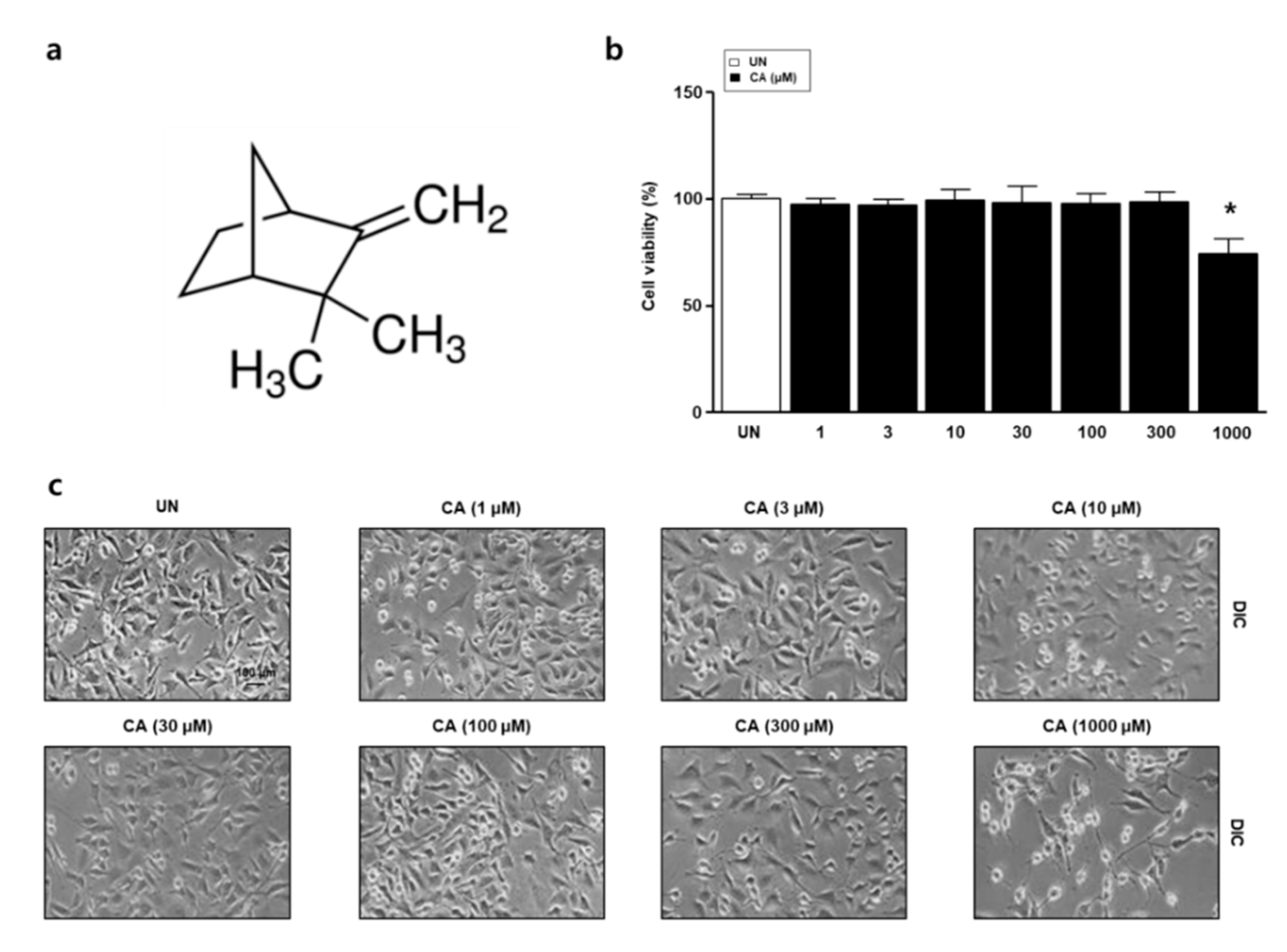 Nutrients 12 03731 g001