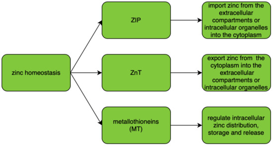 Nutrients 12 03732 g001 550