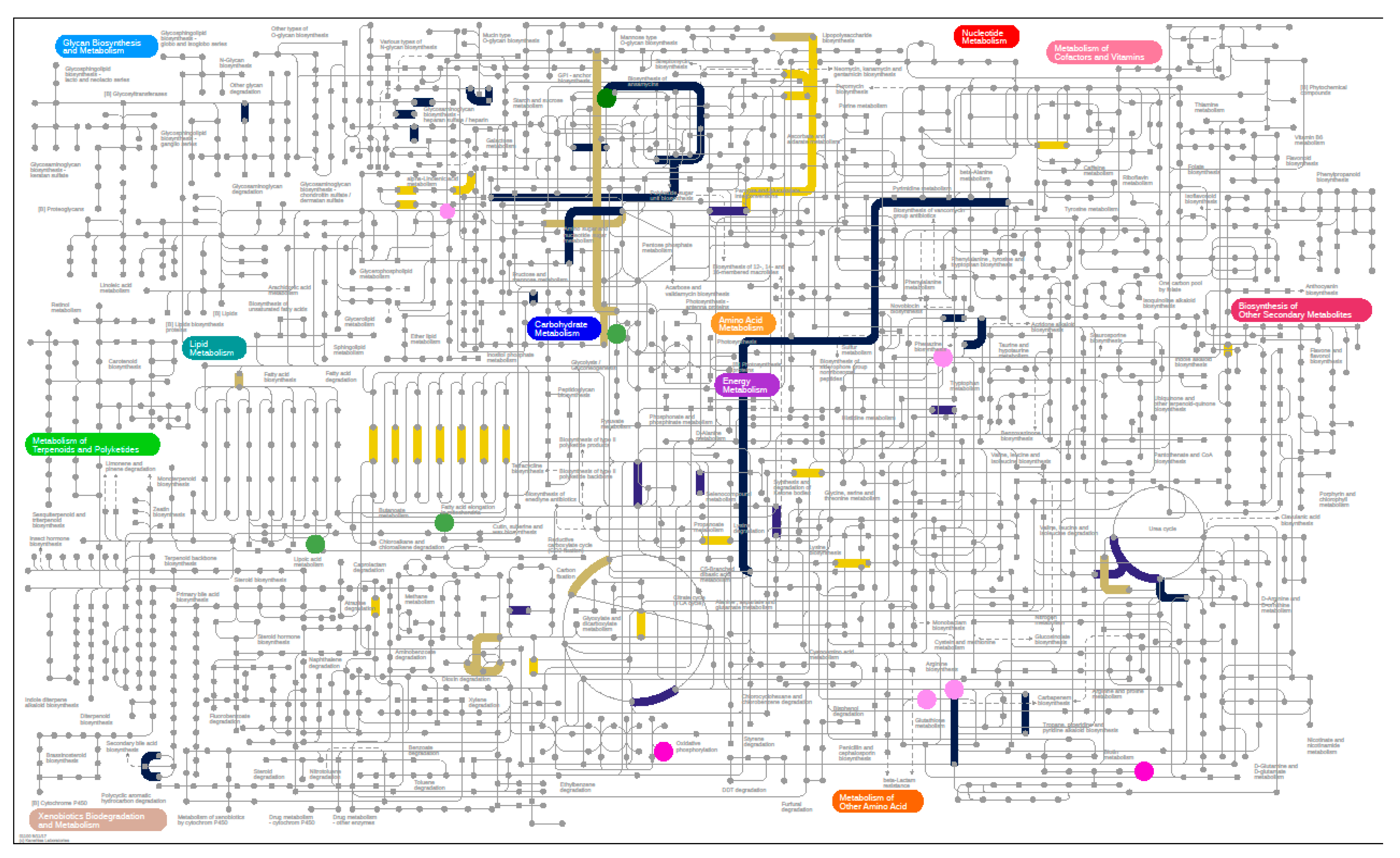 Nutrients 12 03749 g005