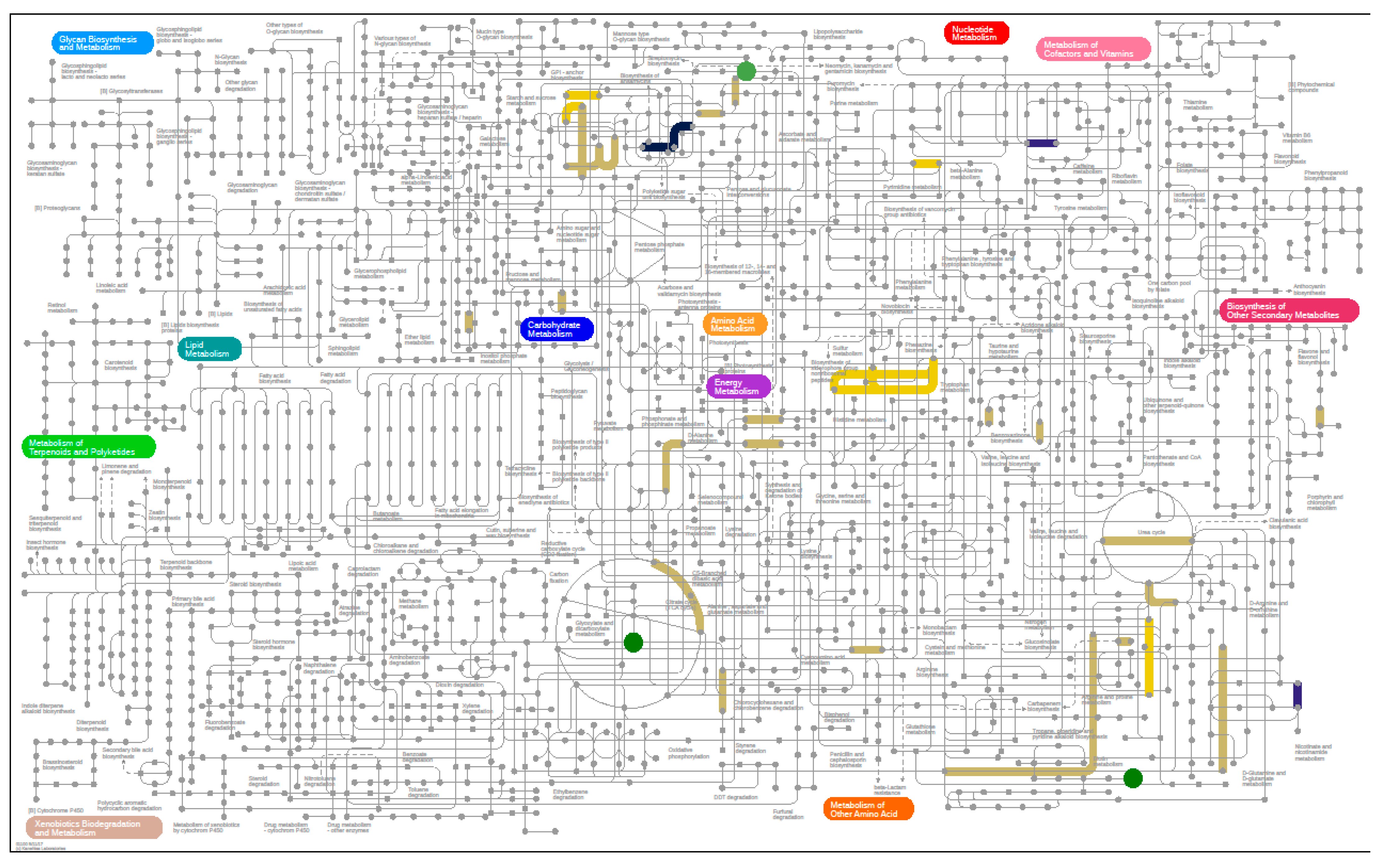 Nutrients 12 03749 g006