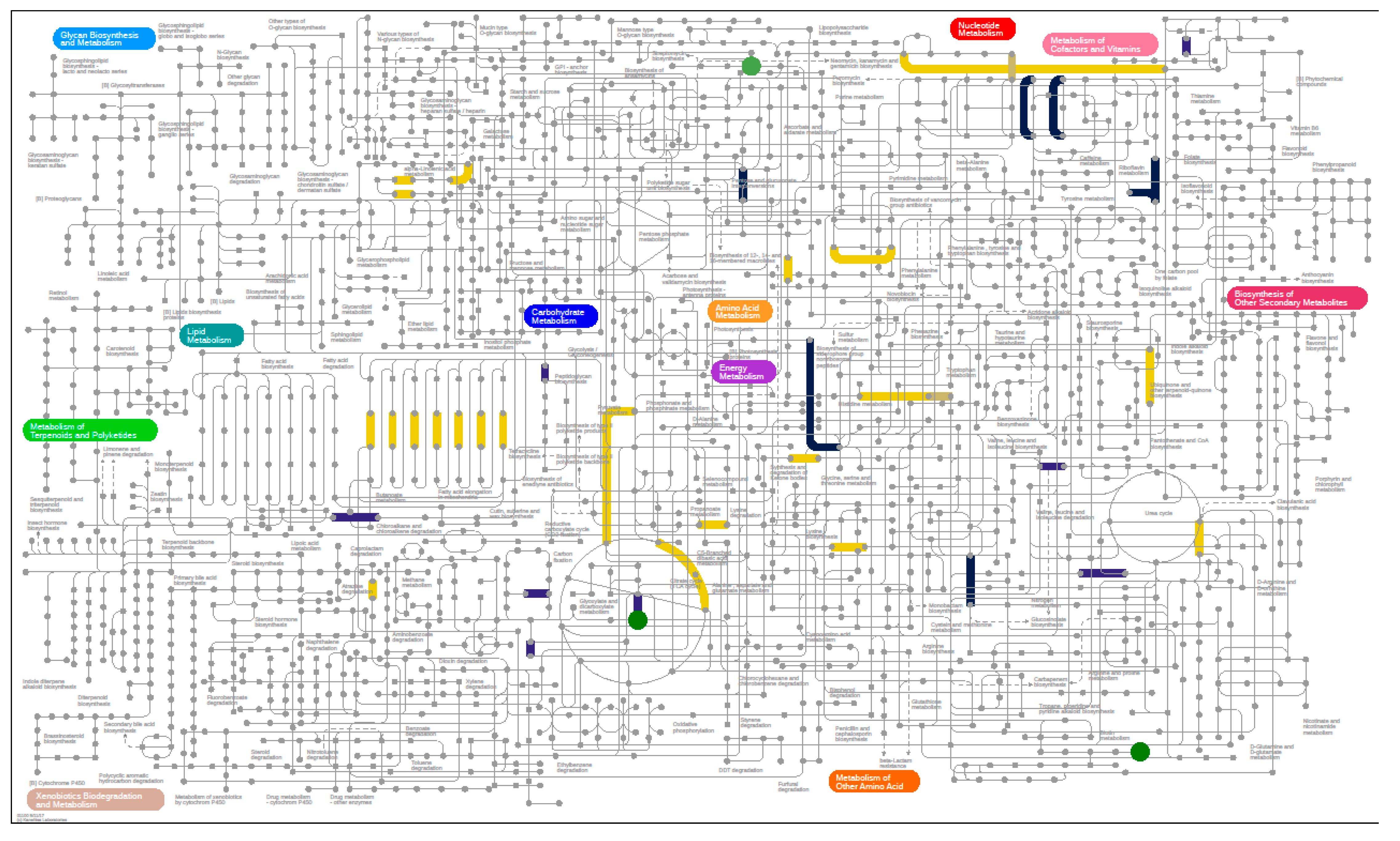 Nutrients 12 03749 g007