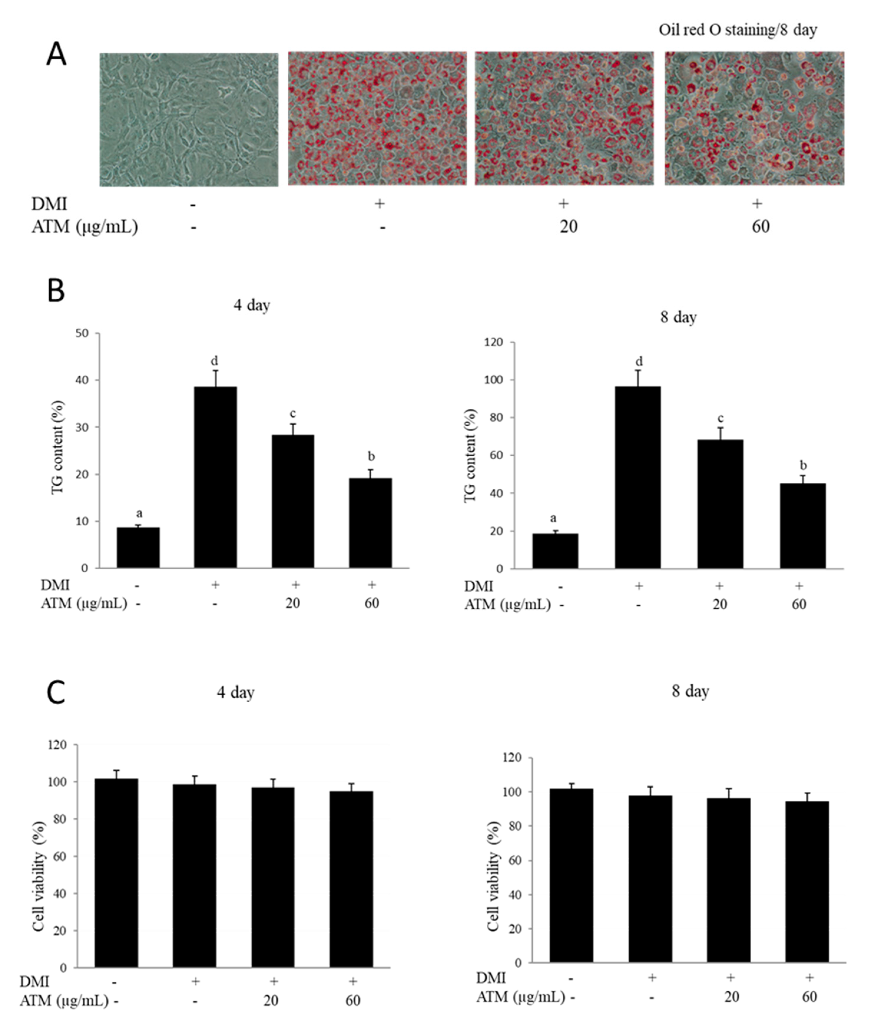 Nutrients 12 03753 g001