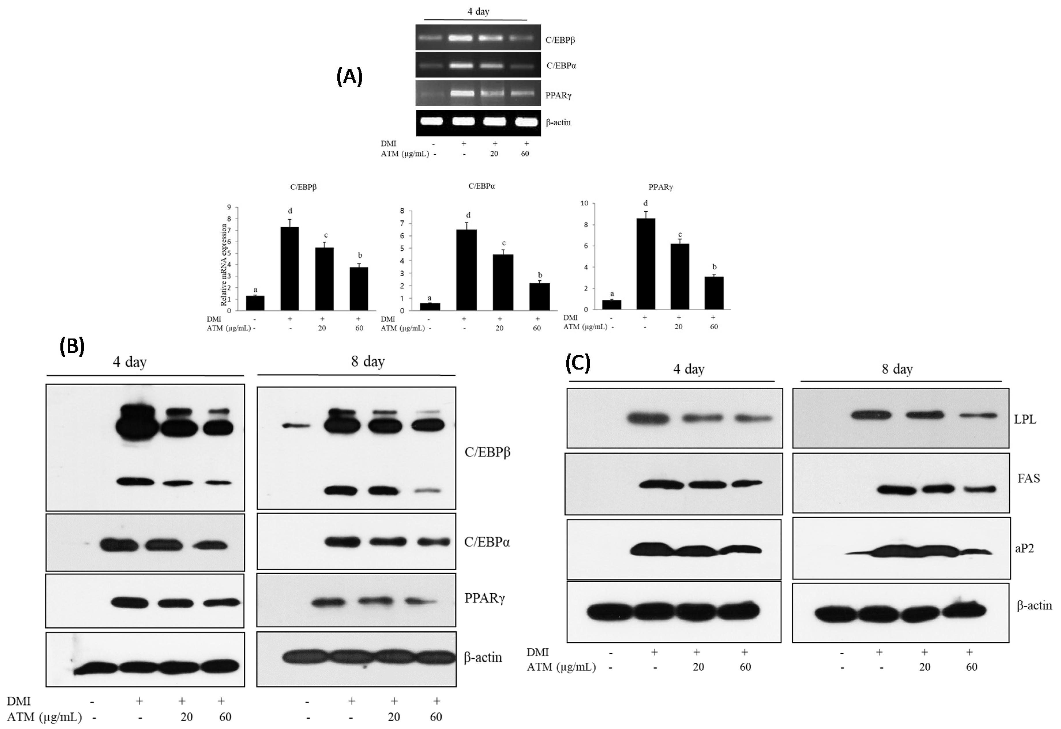 Nutrients 12 03753 g002