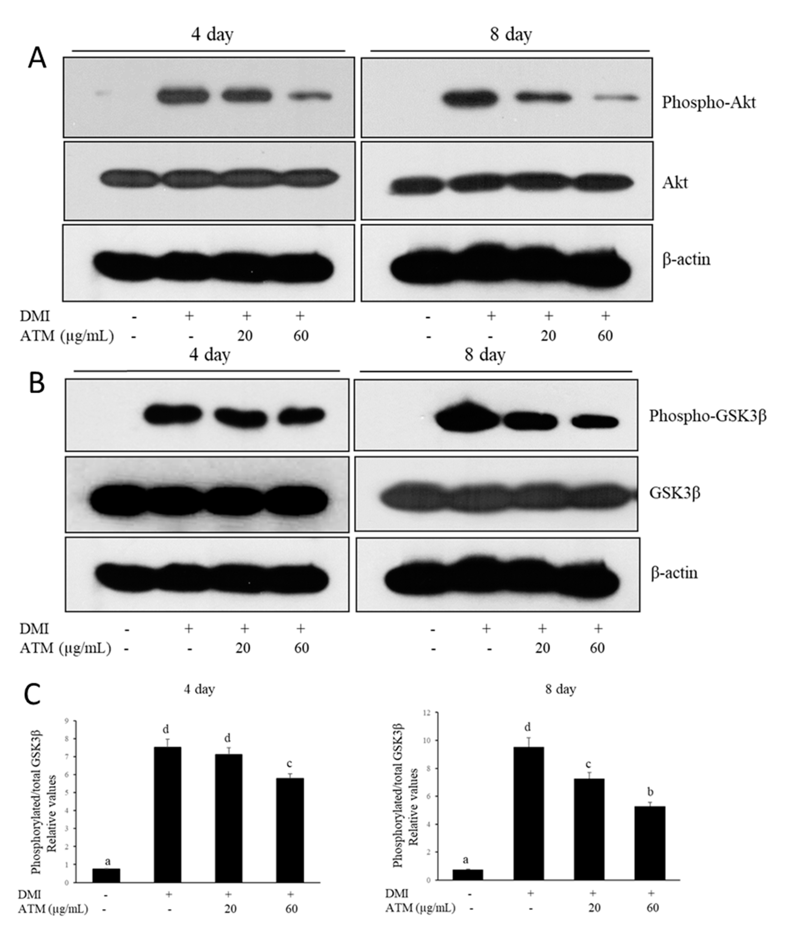 Nutrients 12 03753 g003