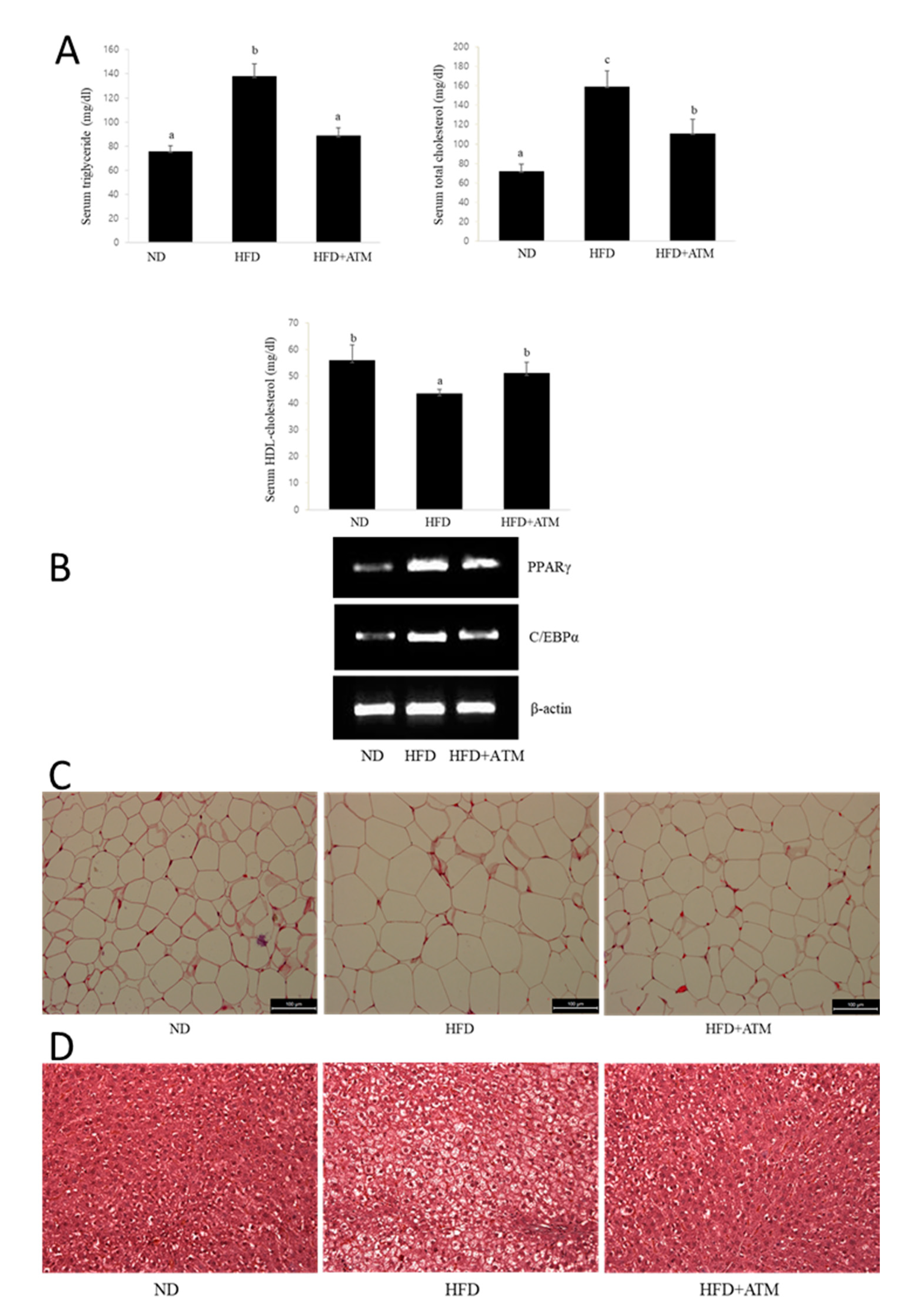 Nutrients 12 03753 g005