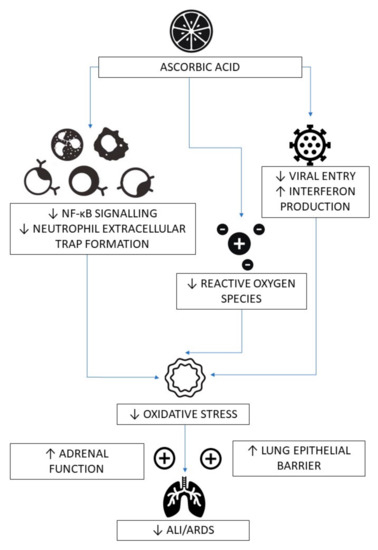 Nutrients 12 03760 g001 550