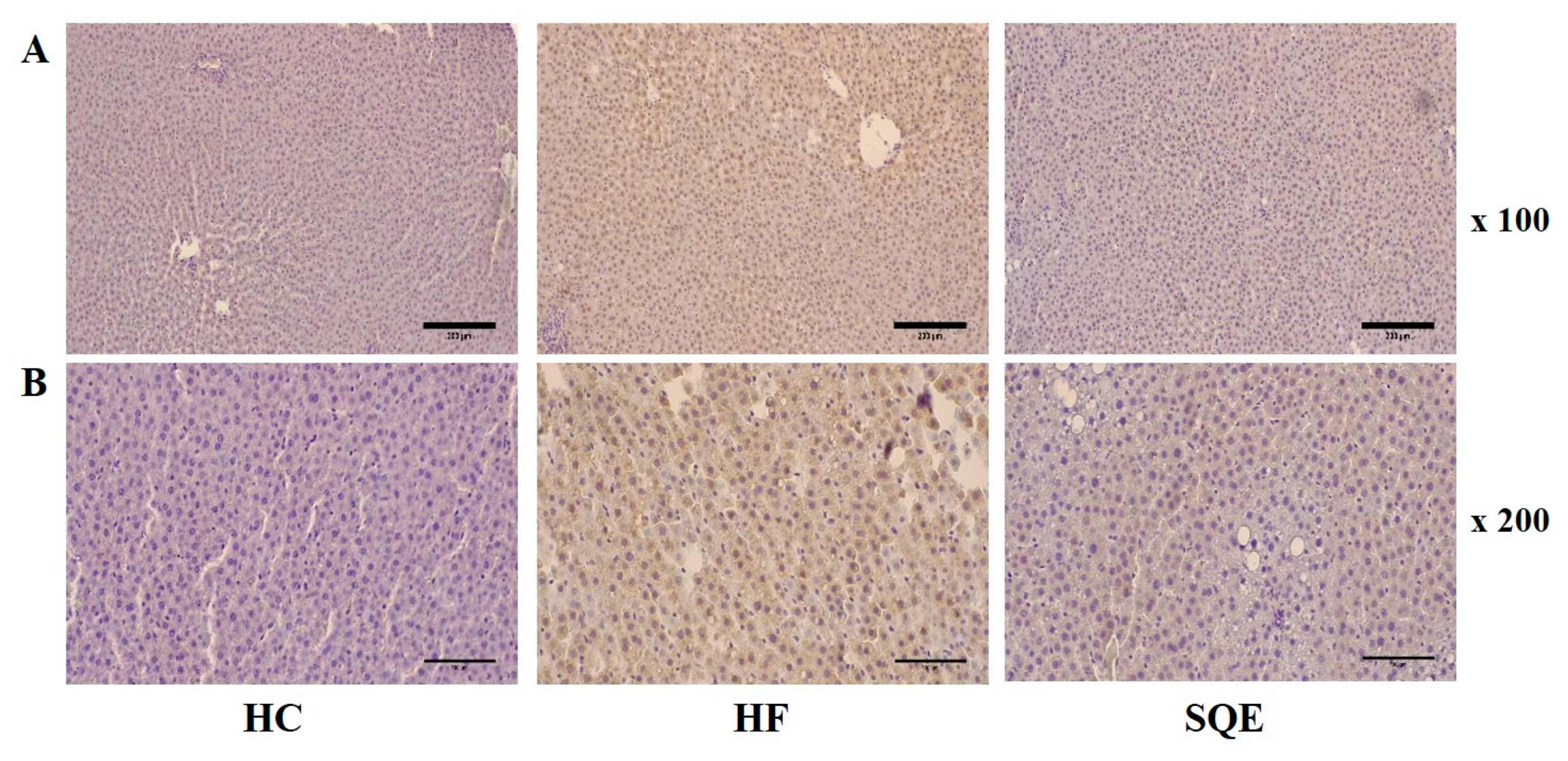 Nutrients 12 03762 g005
