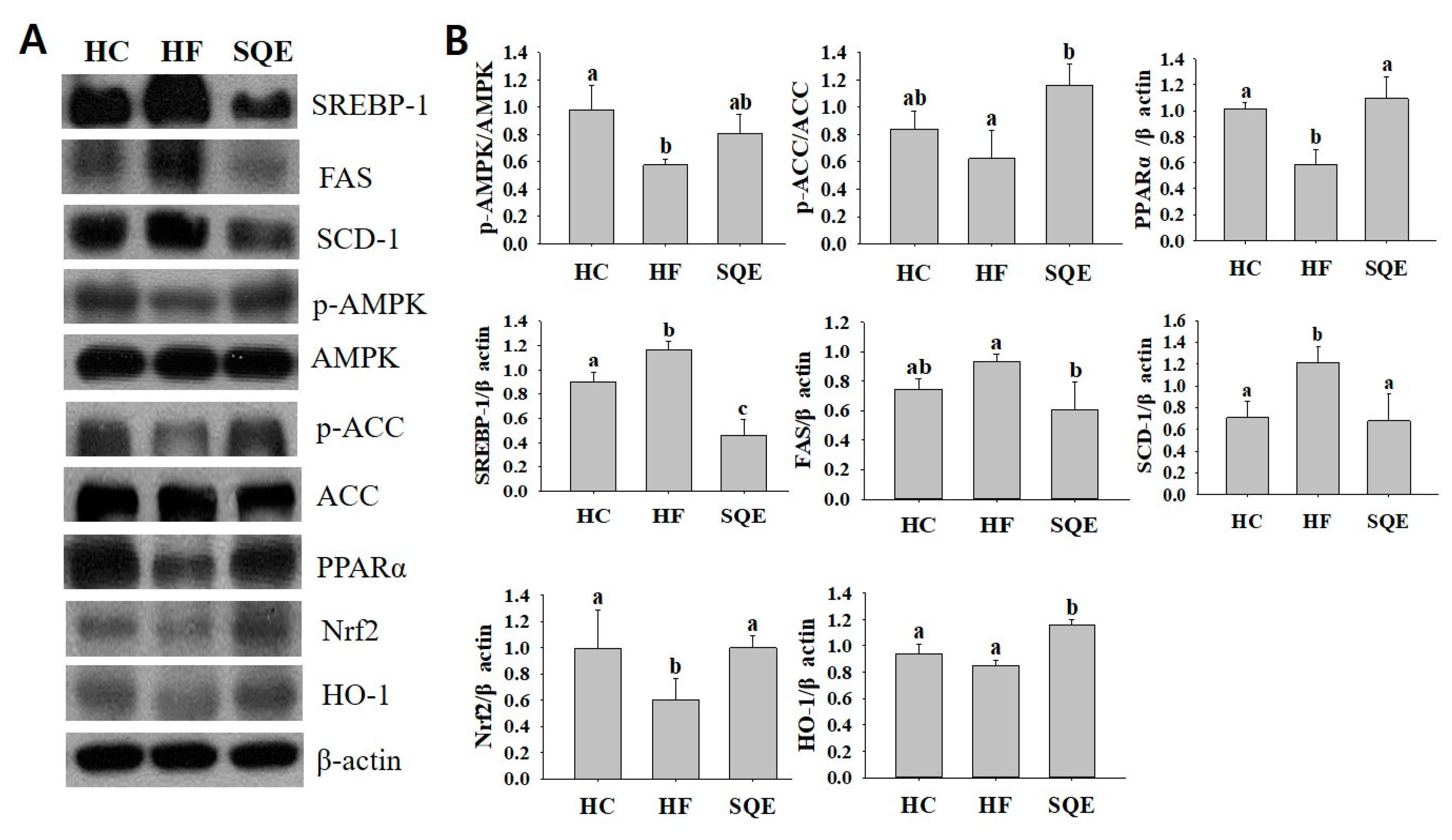 Nutrients 12 03762 g006