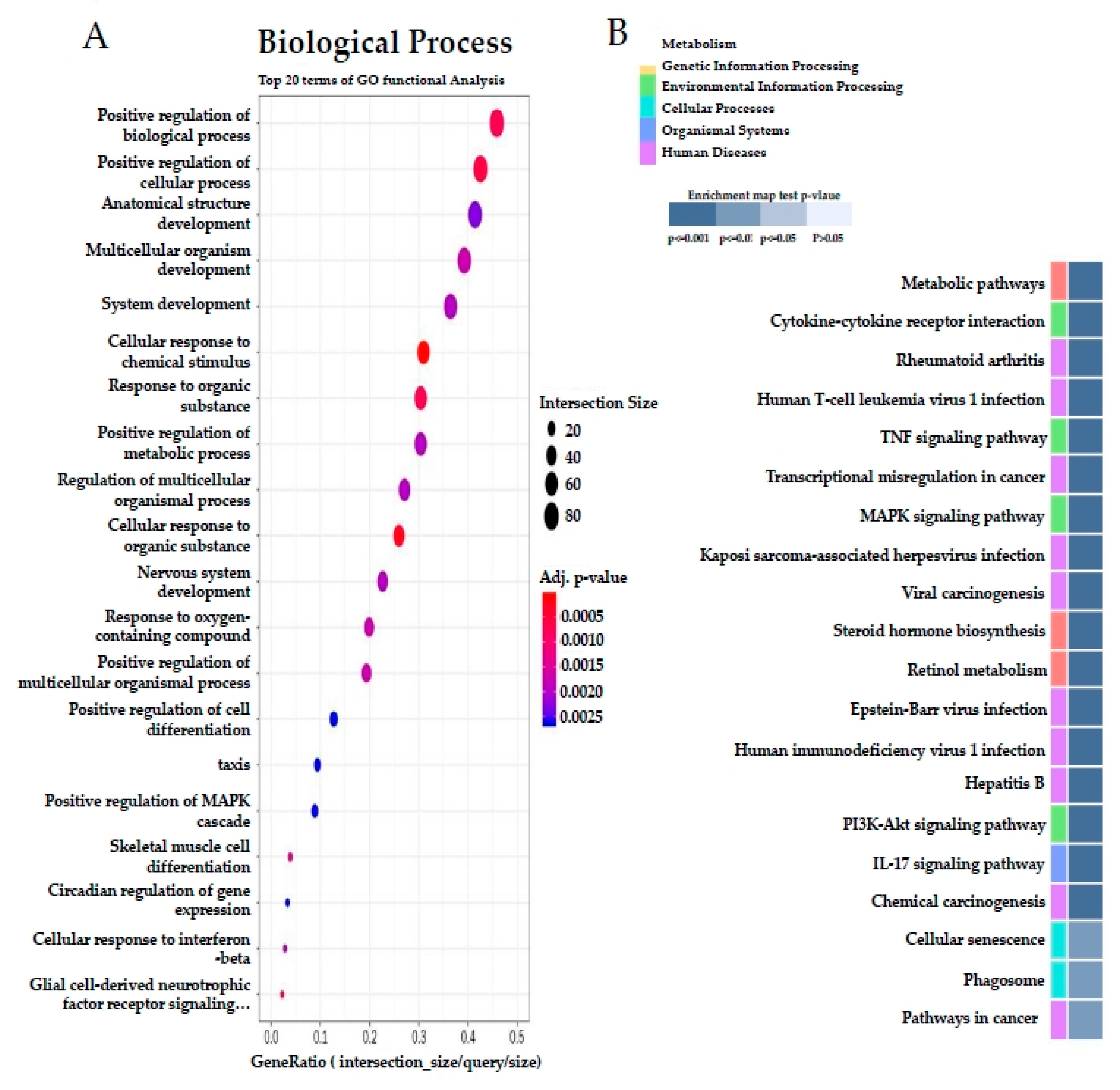Nutrients 12 03762 g008