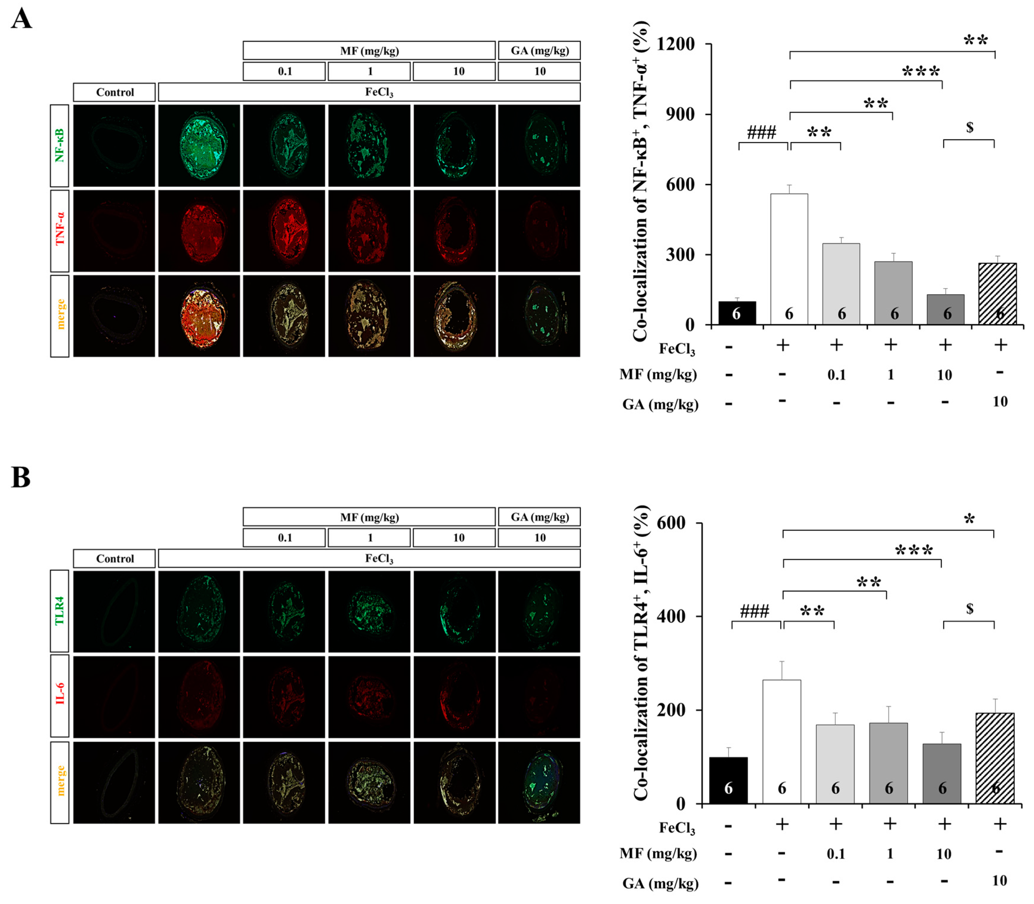 Nutrients 12 03795 g004