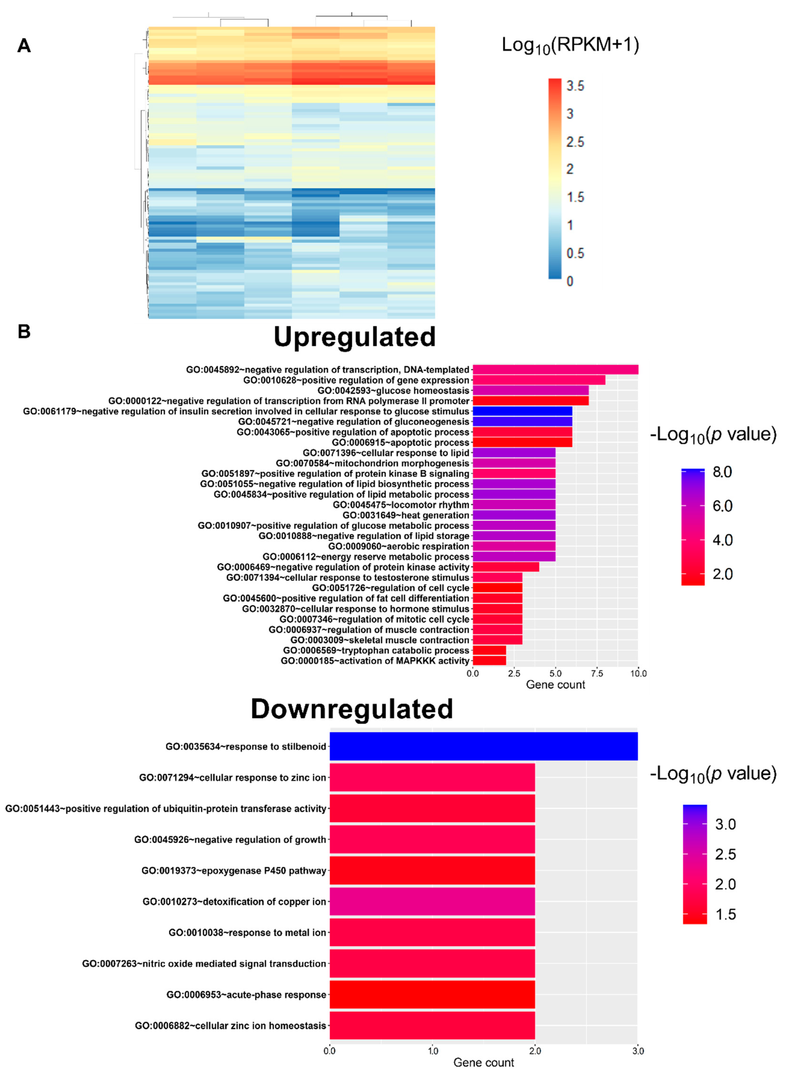 Nutrients 12 03798 g003