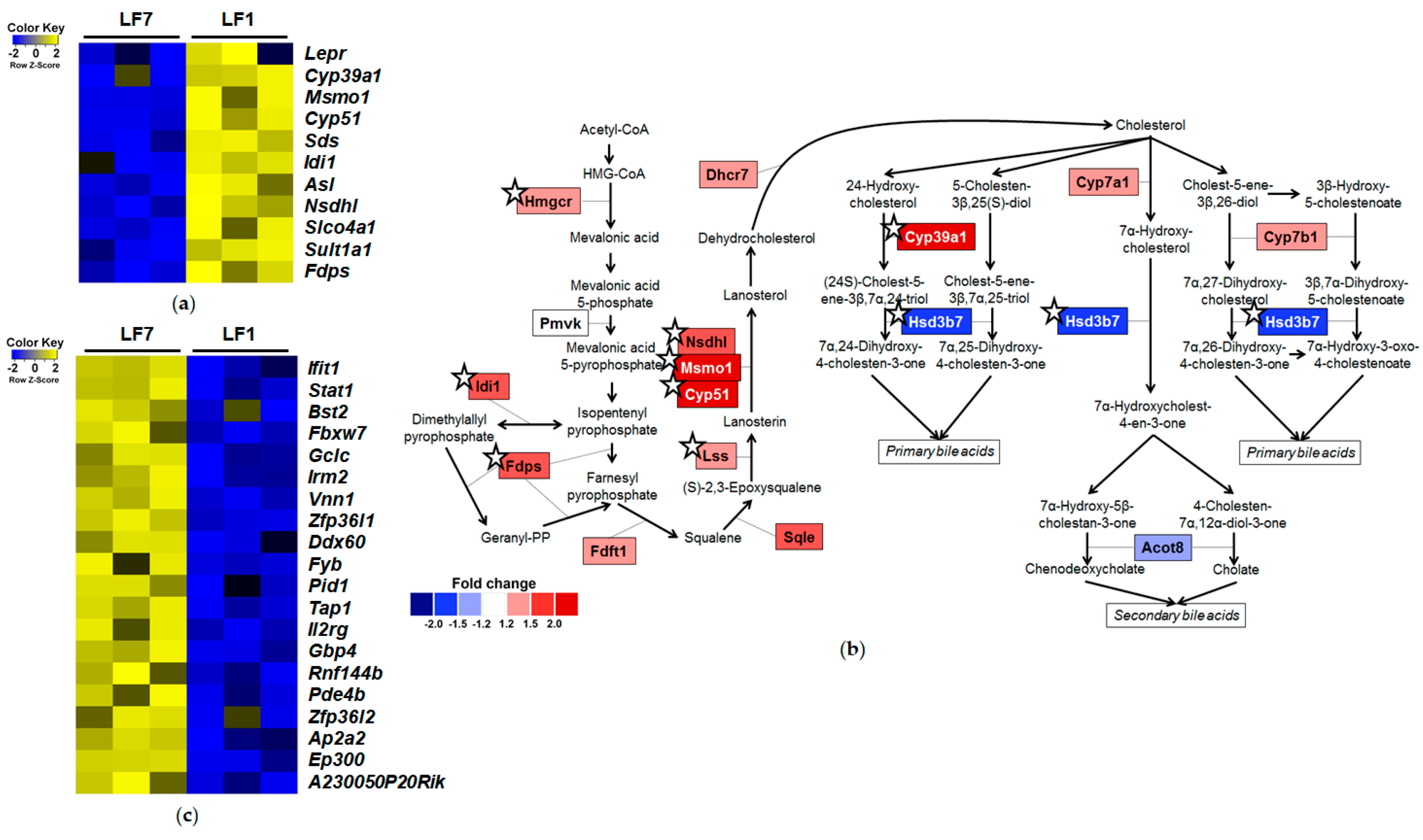 Nutrients 12 03821 g003