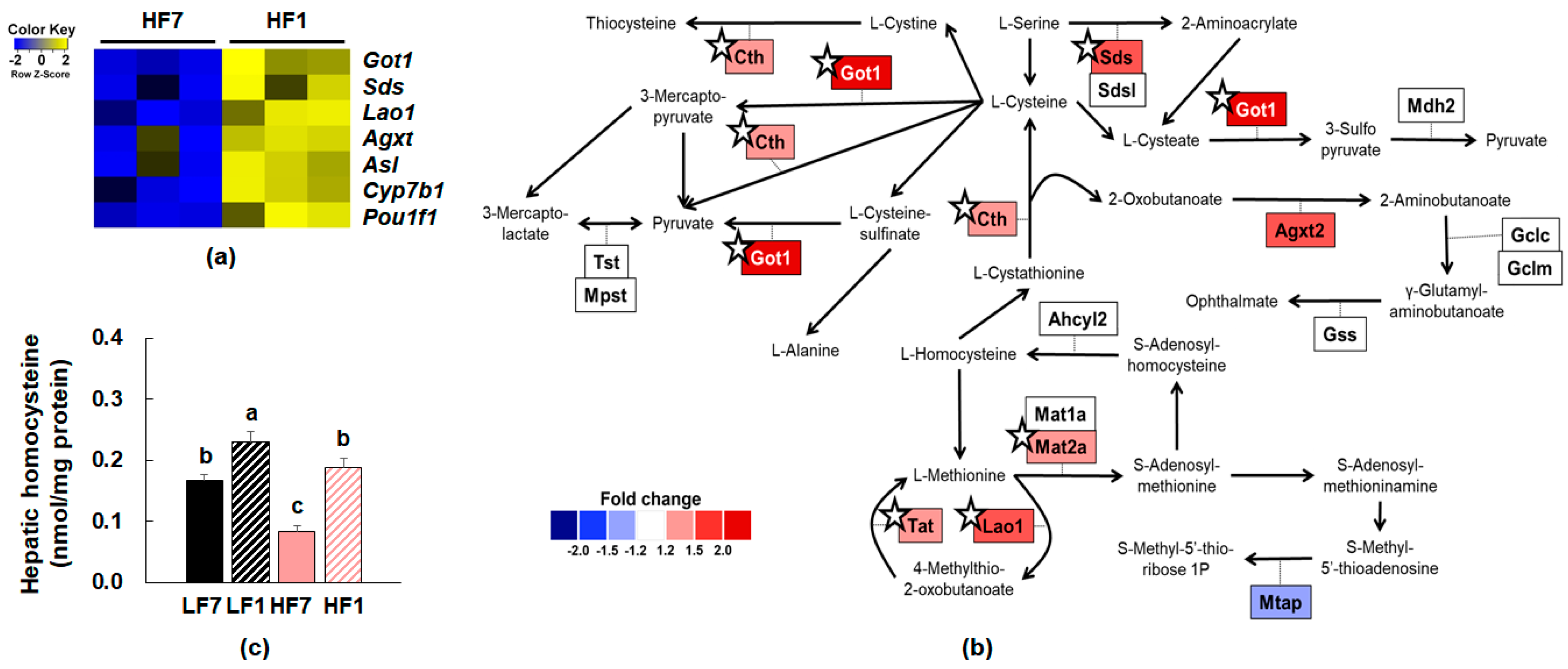 Nutrients 12 03821 g004